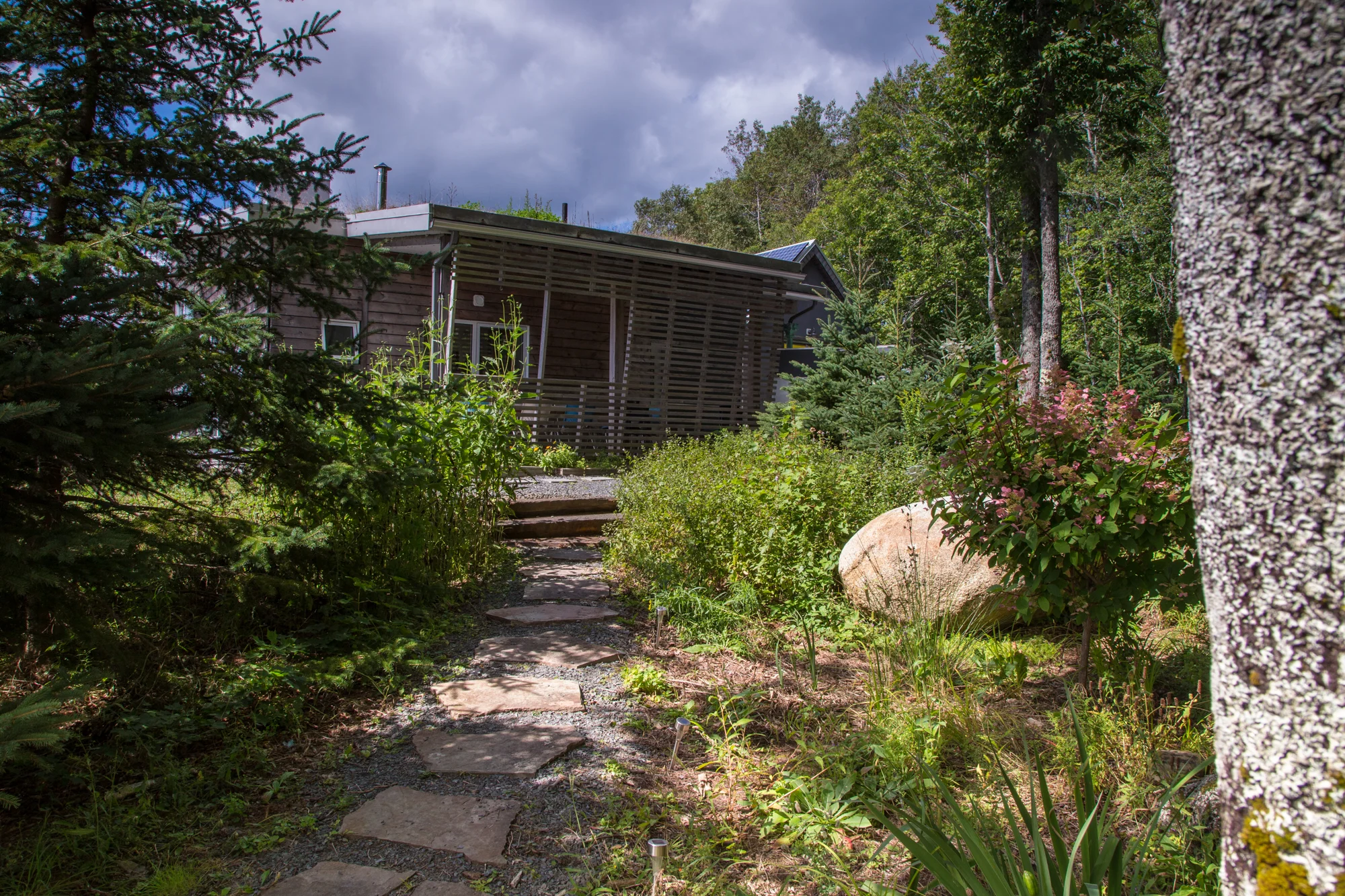 path from firepit.jpg