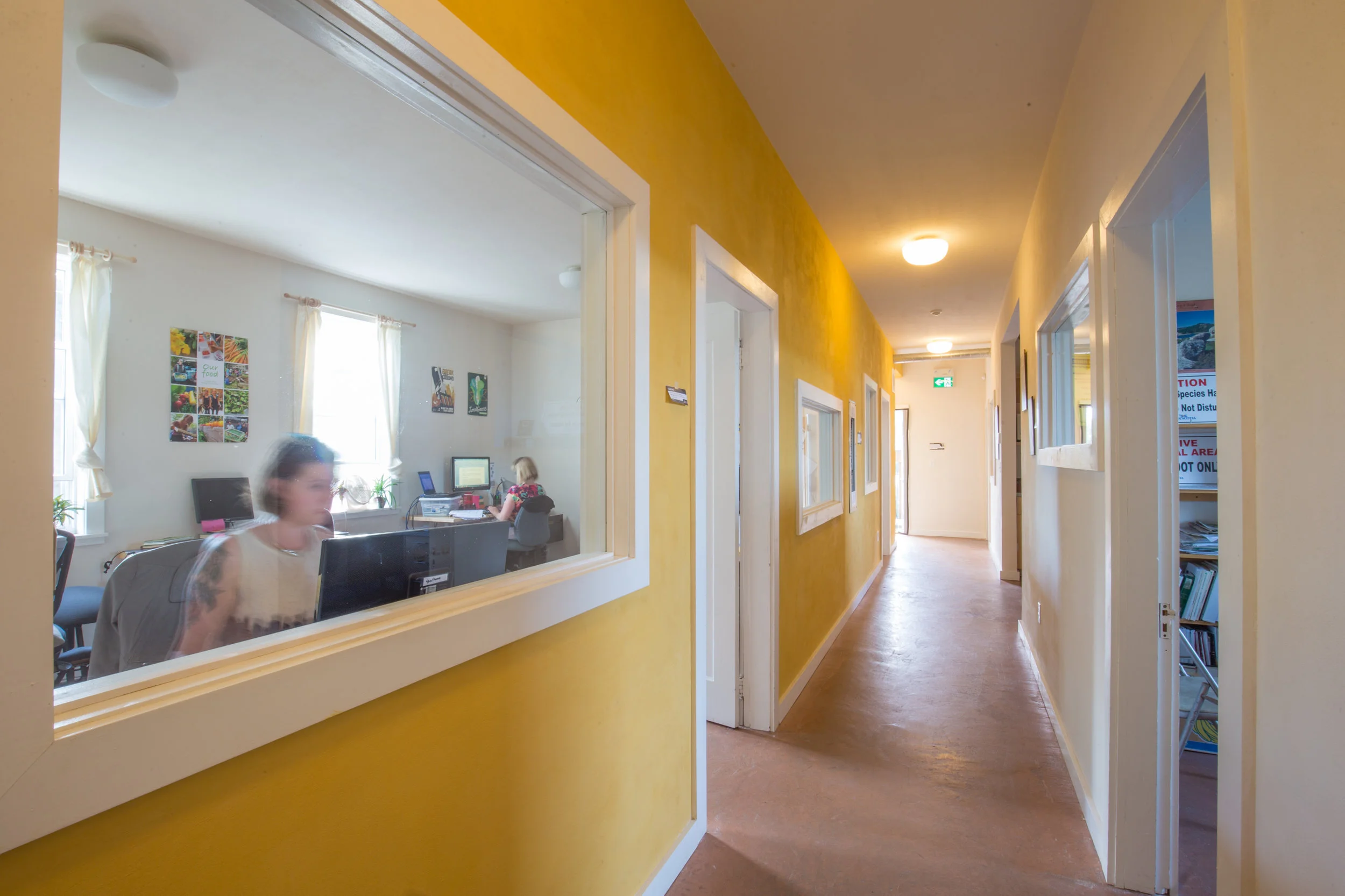 11. Daylit Hall.jpg