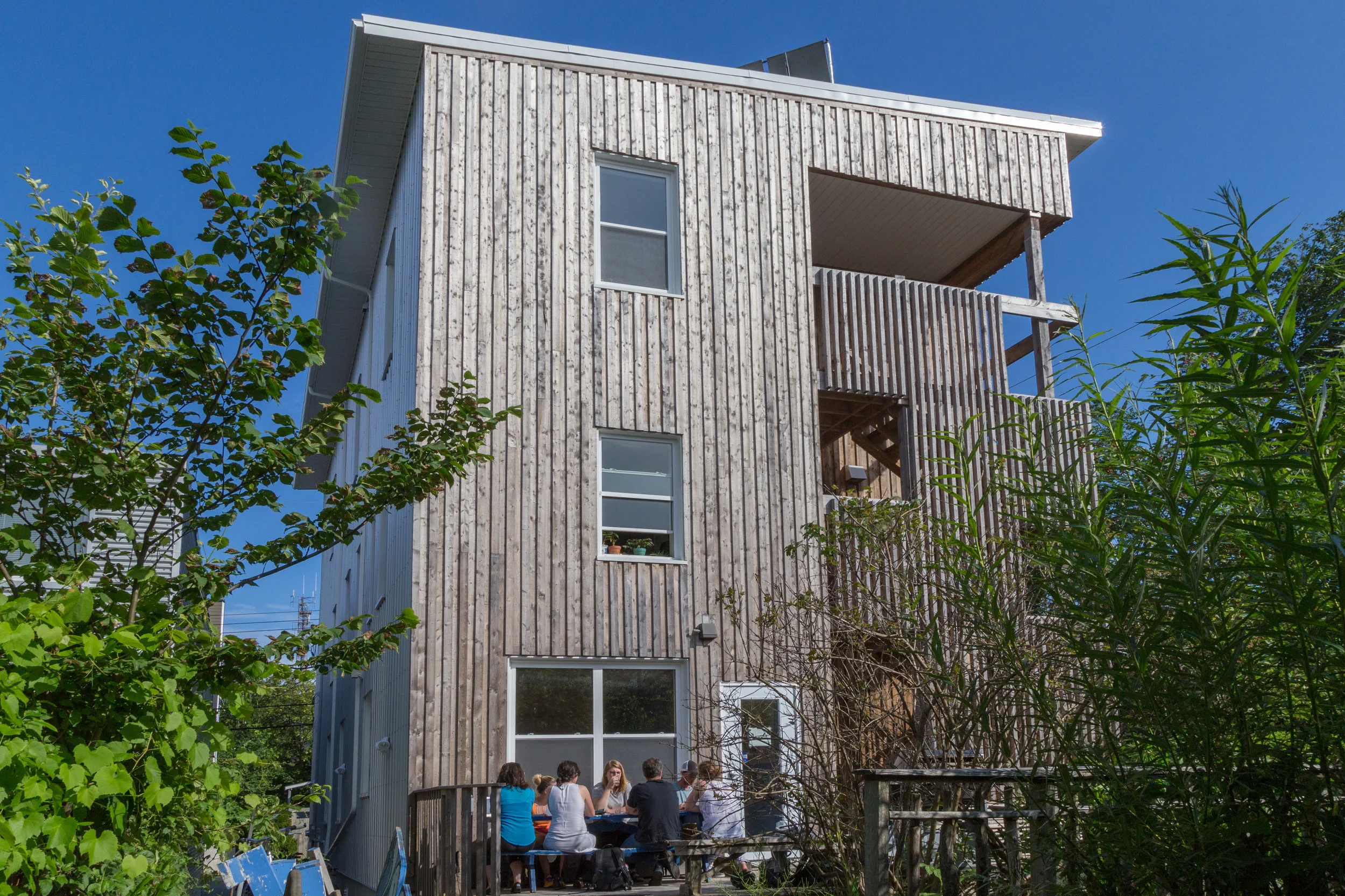 3. Rear.jpg