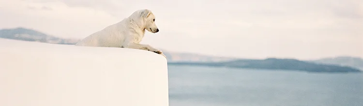 santorini banner3.jpg