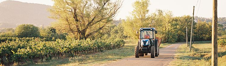Chateau de Saint-Martin