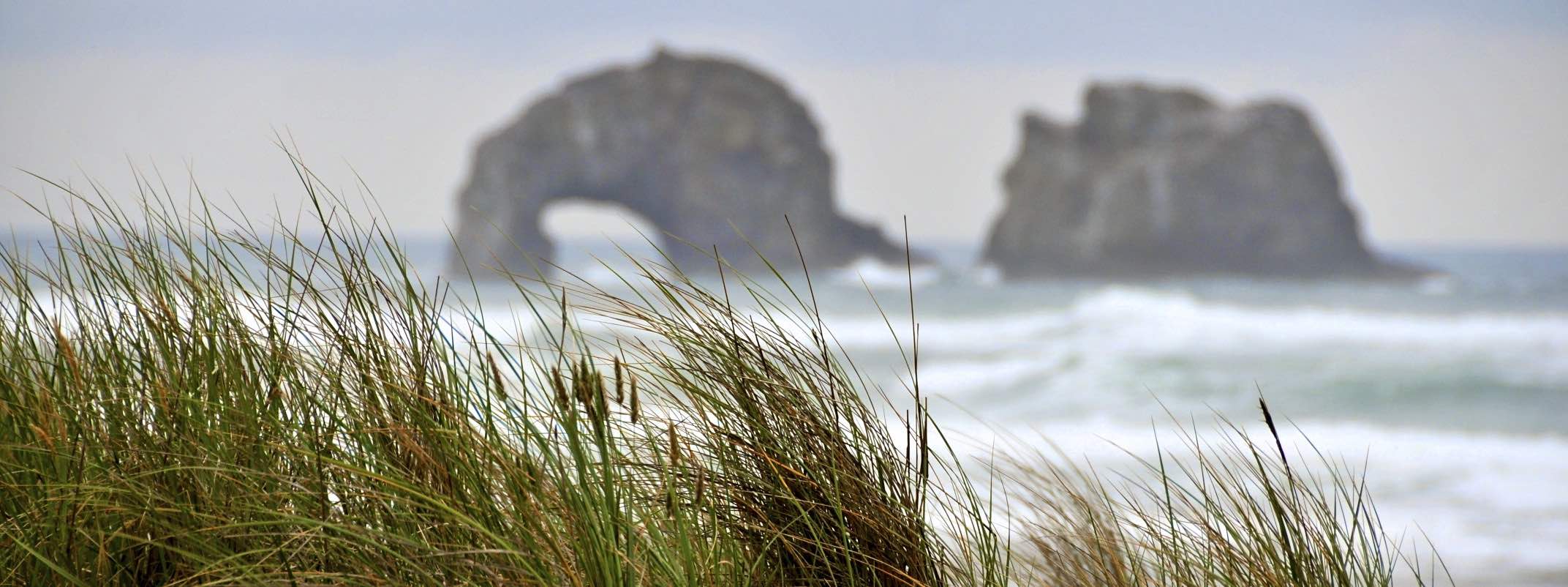 Oregon Coast Line