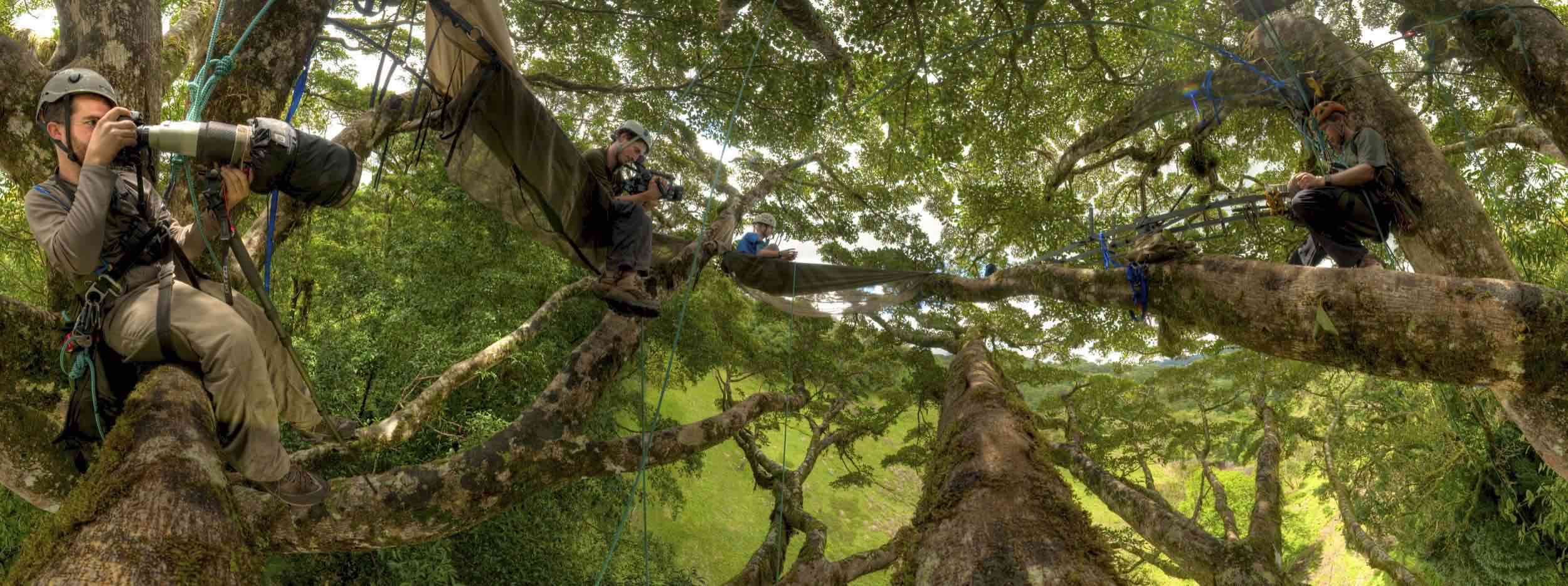 Canopy in the Clouds Team