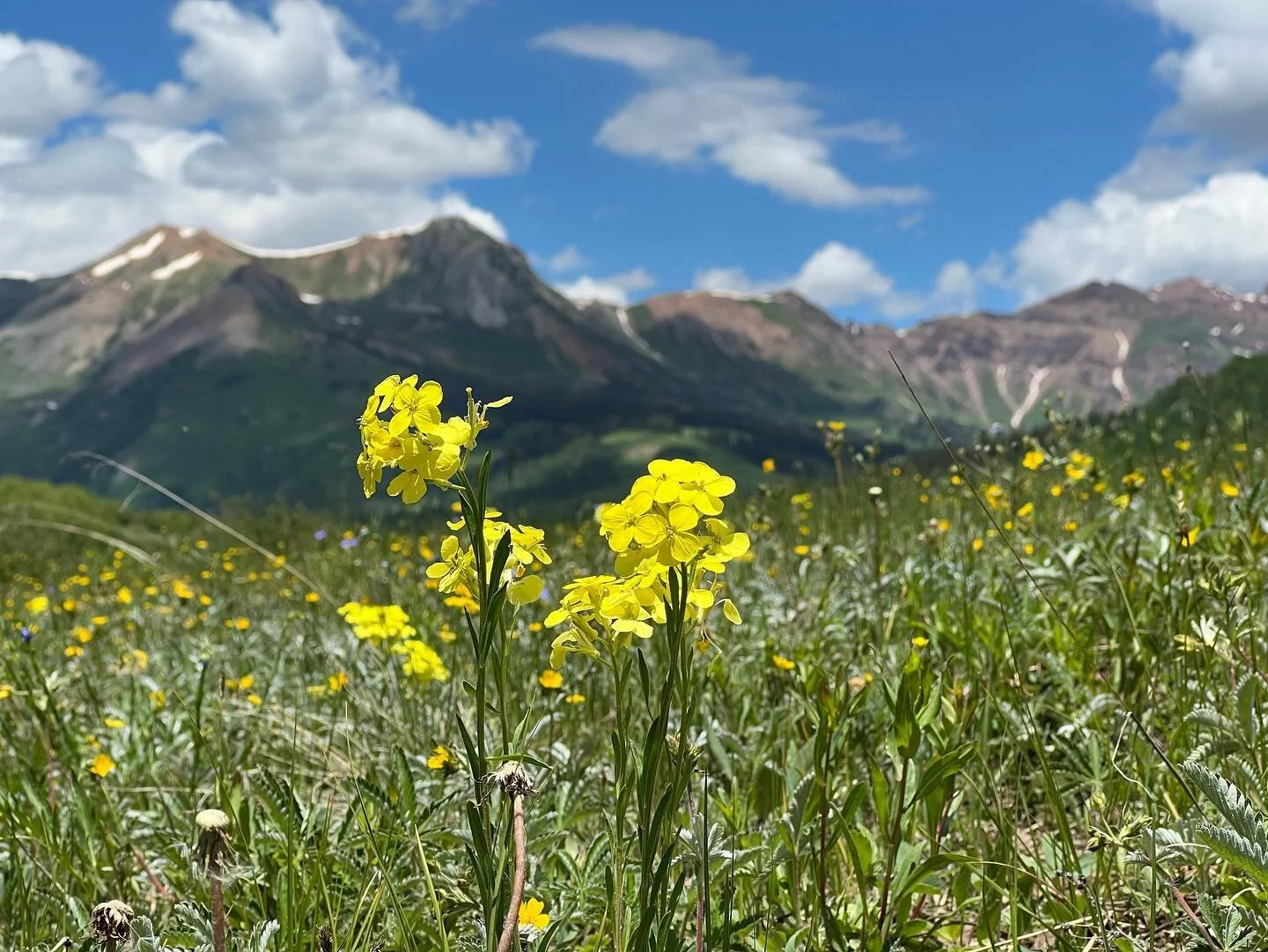 director-of-photography-boulder-co-cinematographer-videographer