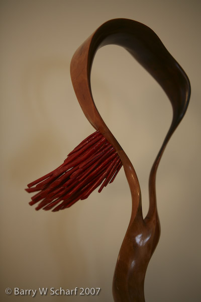 Red Head detail