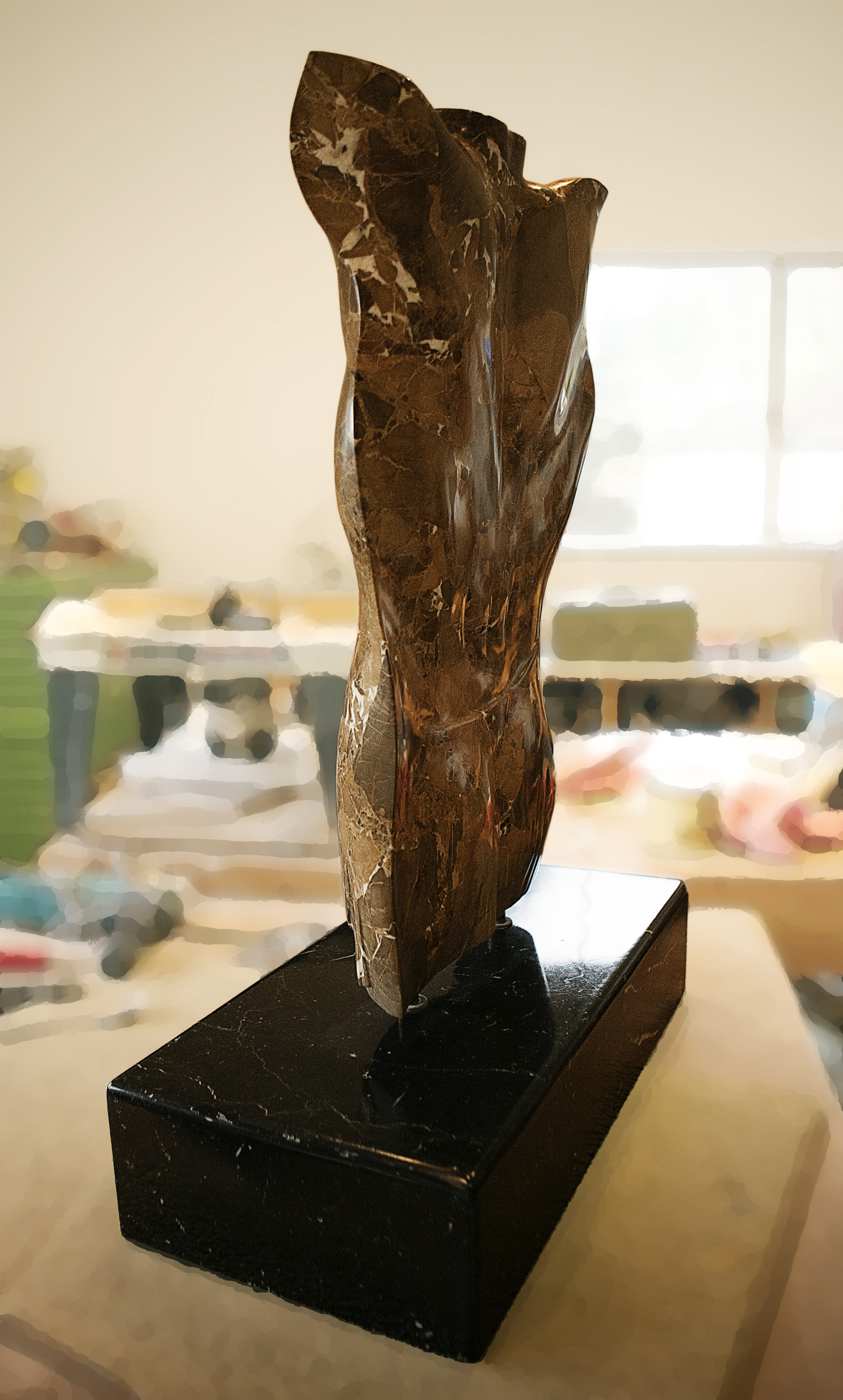Torso side view