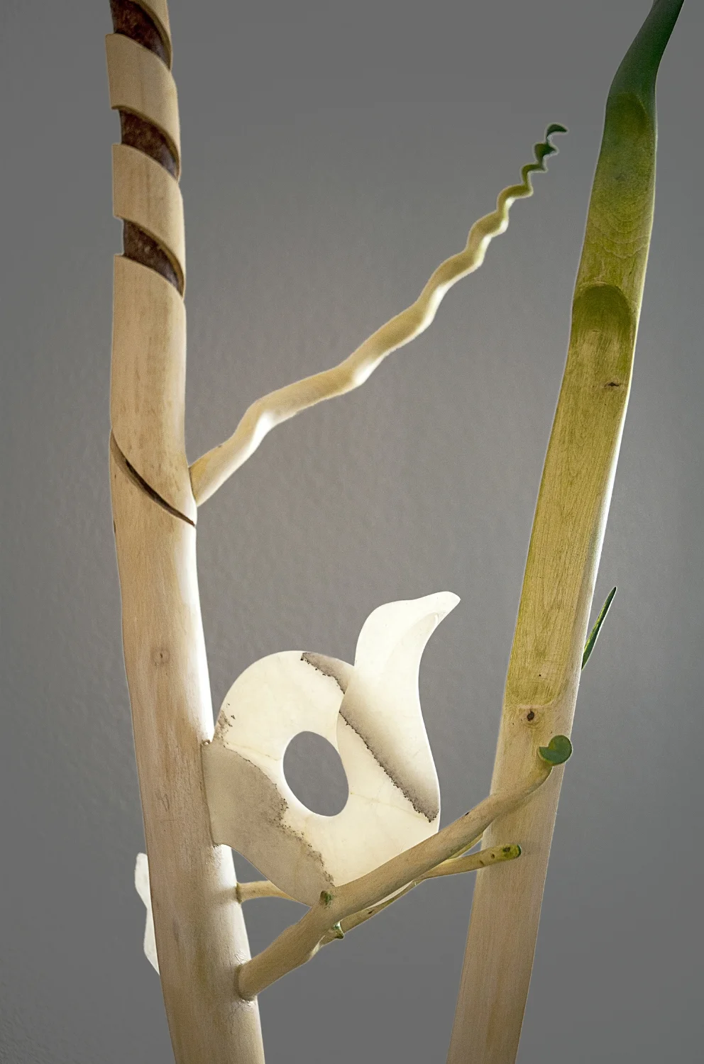 B ird in a tree Detail