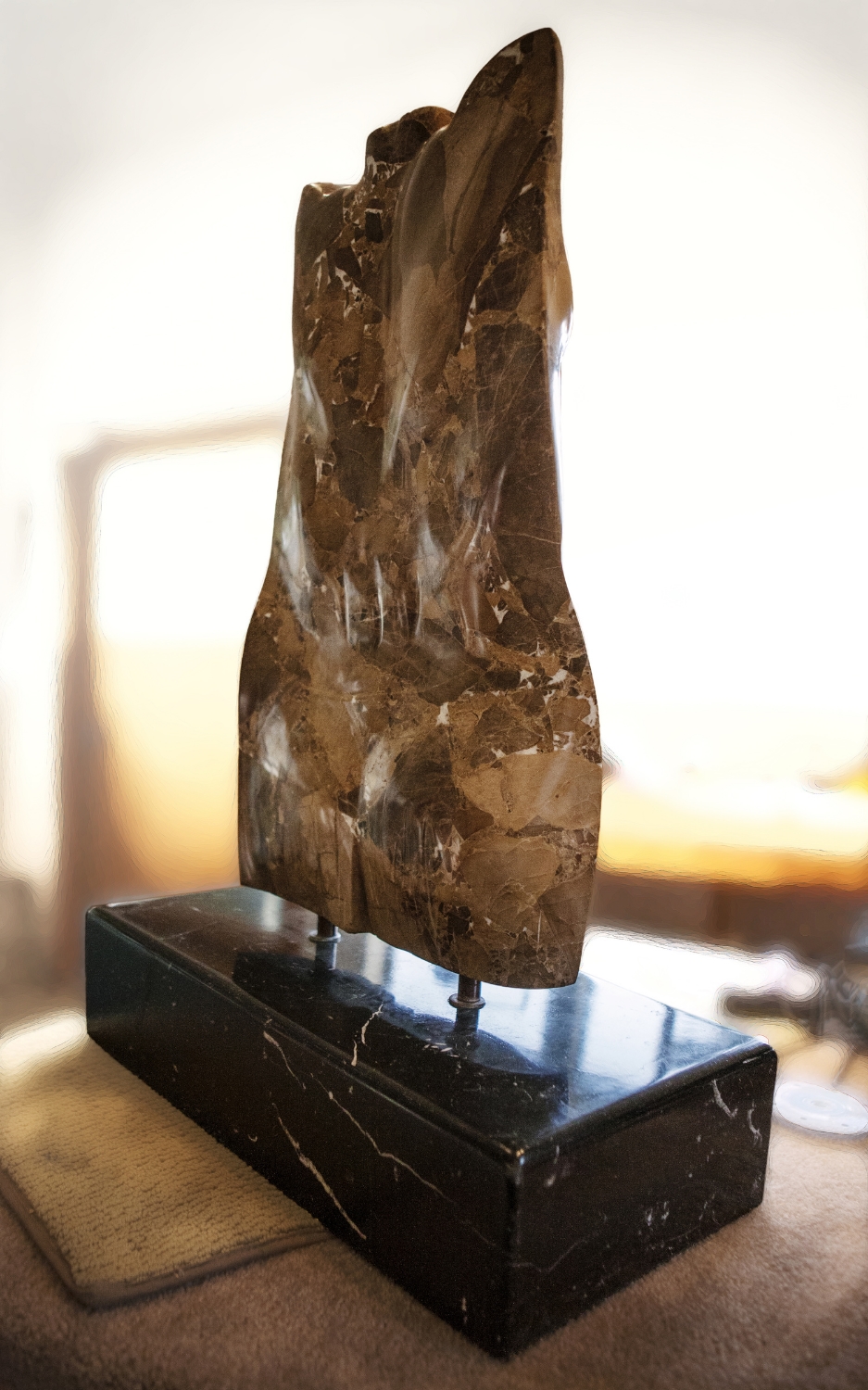 Torso
