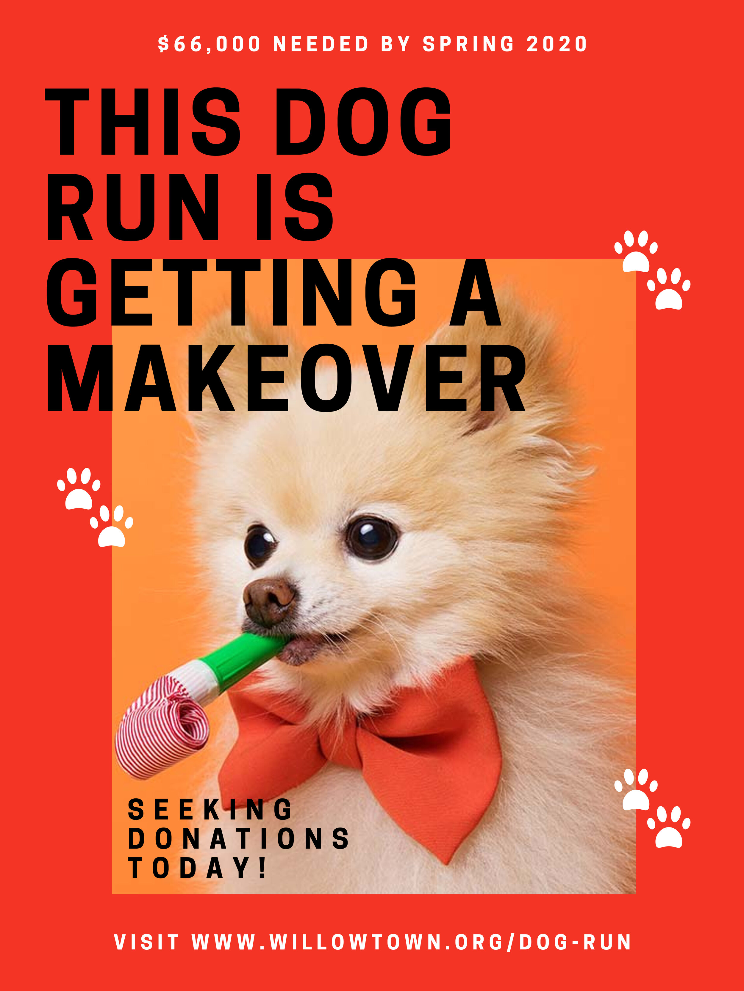 Dog Run Fundraise.jpg