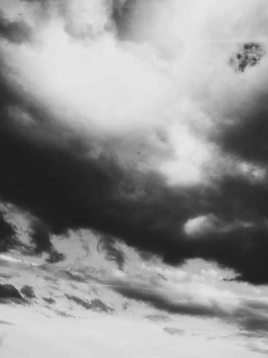 4A6E24C7-5C73-4B9F-8ADF-0083A7B0D14E.jpg