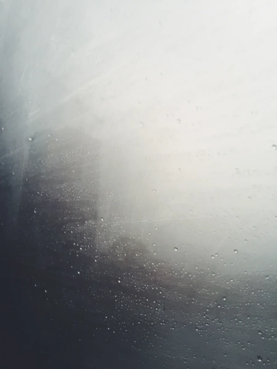 D0D7C1E1-EC58-4A66-BB45-B2F7BBC93450.jpg