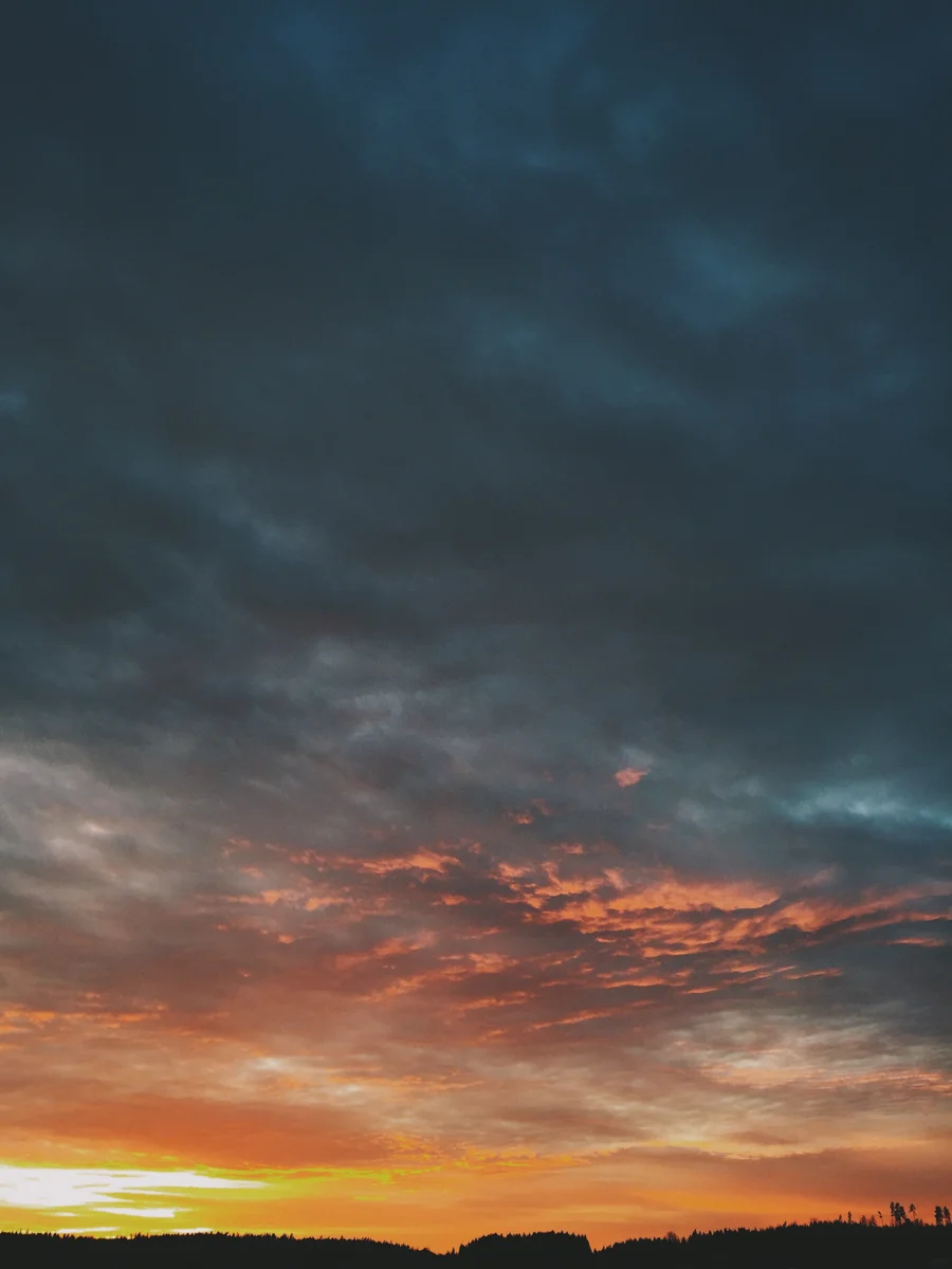 D0F0968A80F1.jpg