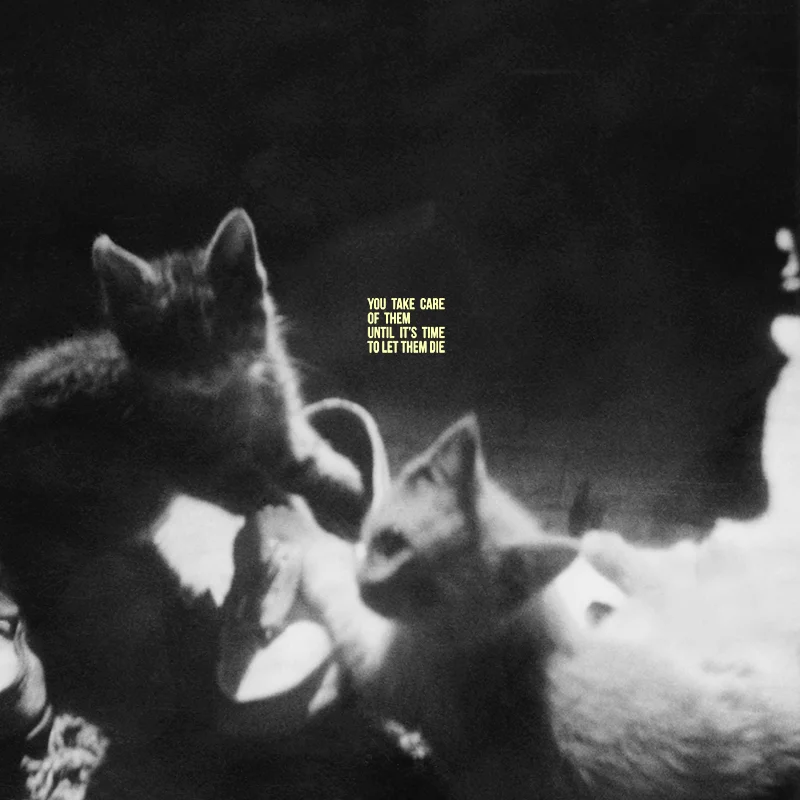 let them die c low res b.jpg