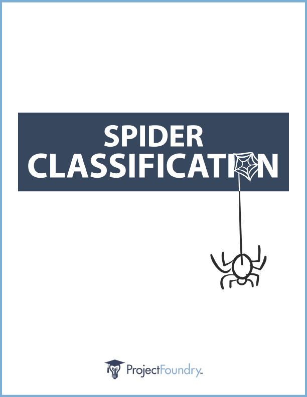 PF_Spider_Classification_DL2_cover-border-01.png