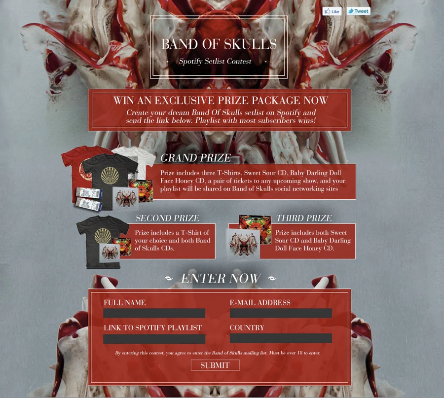 Band-Of-Skulls---Spotify-Mockup.jpg