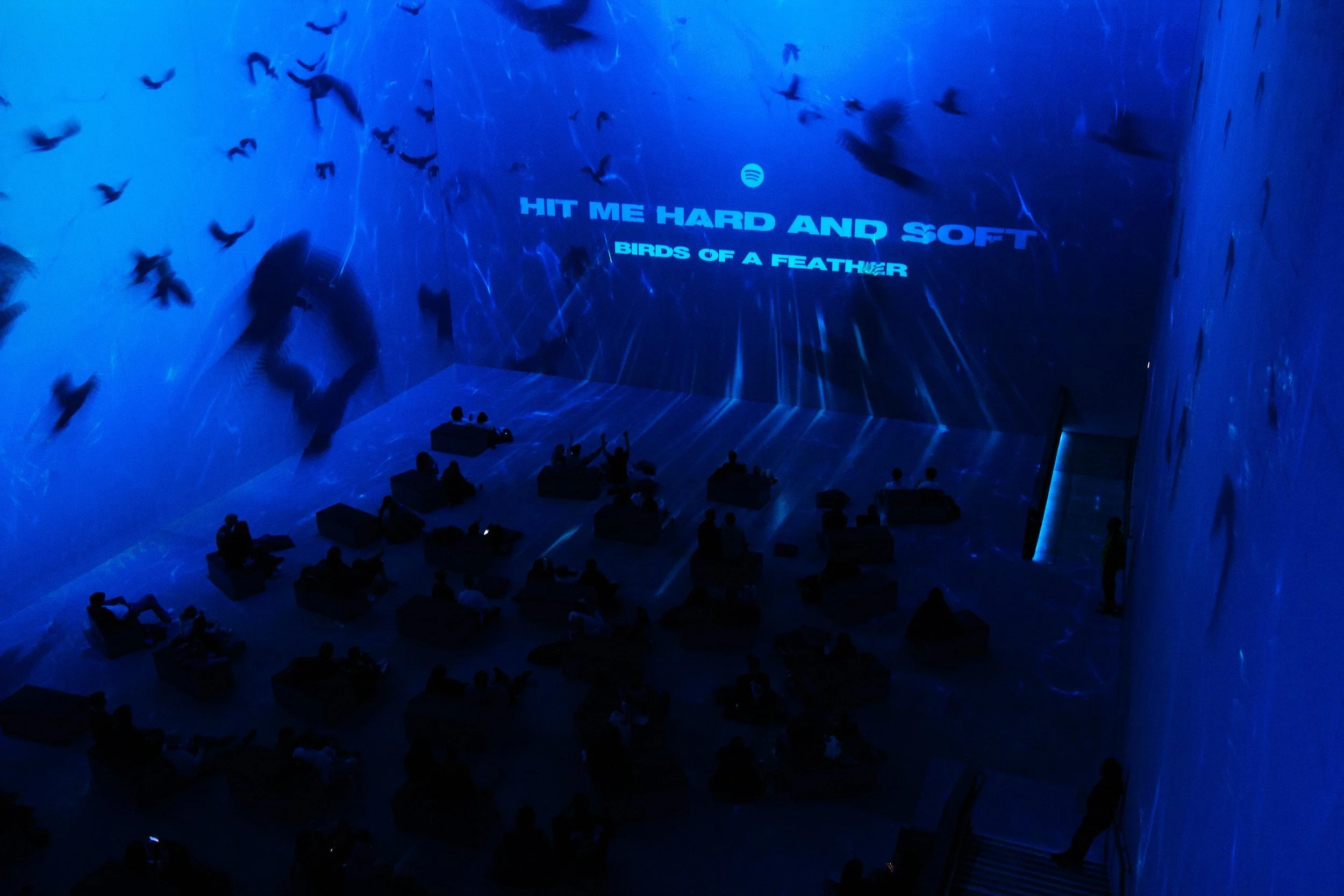 A Journey Into HIT ME HARD AND SOFT