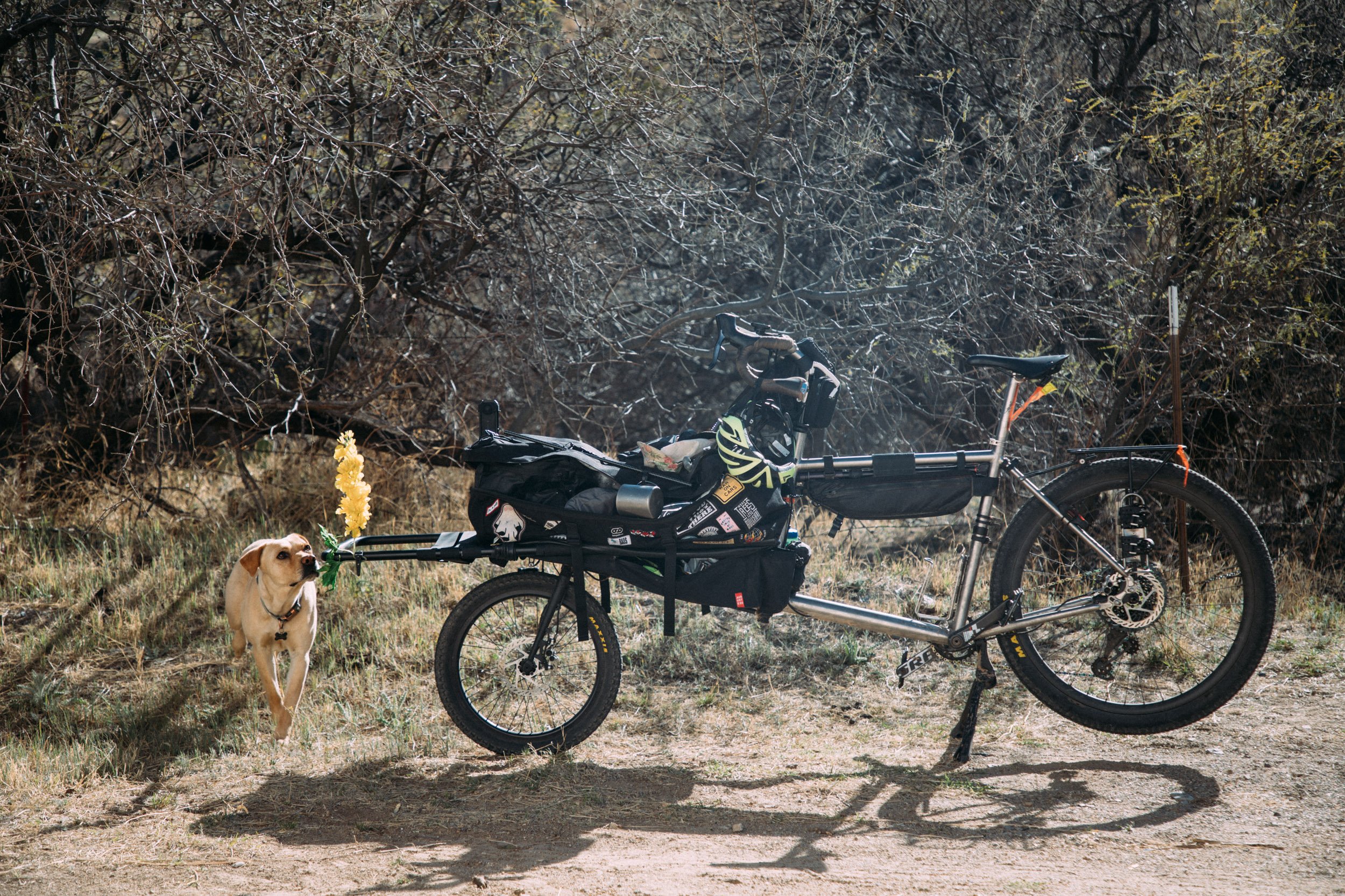 Tucson Porch to Peaks - March 22, 2022 - 1851.jpg