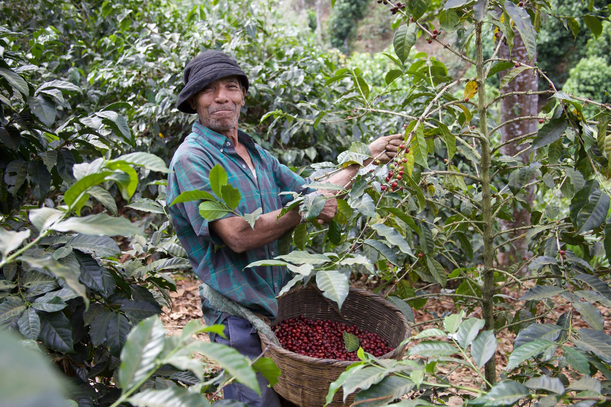 Luciano Carranza has worked at El Aguila for 50 years. He is 80 years old!