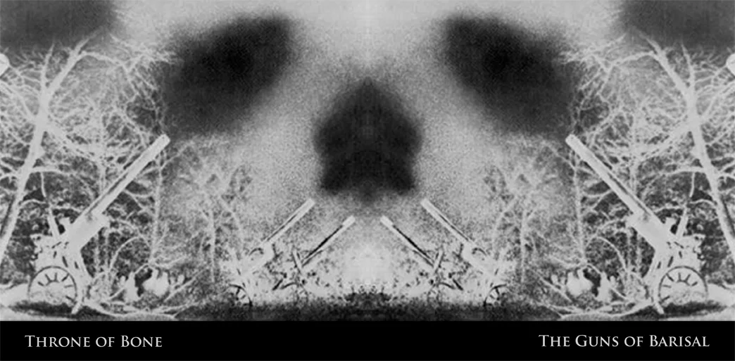album cover pictured open