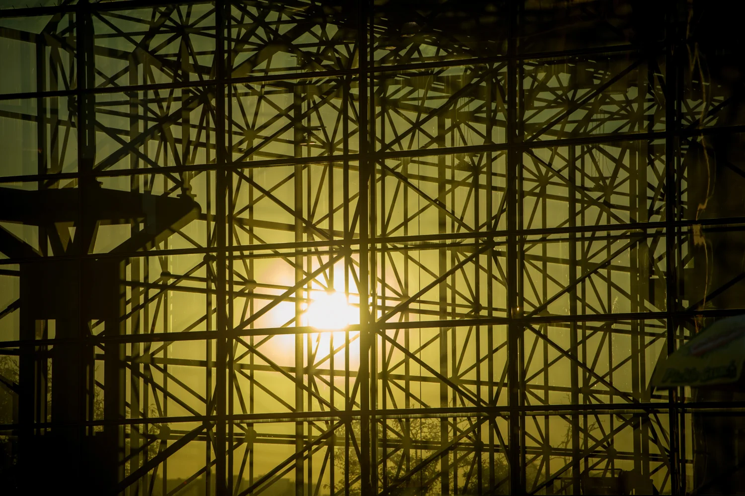 Javitz_Exterior_Low res preview-1143.jpg