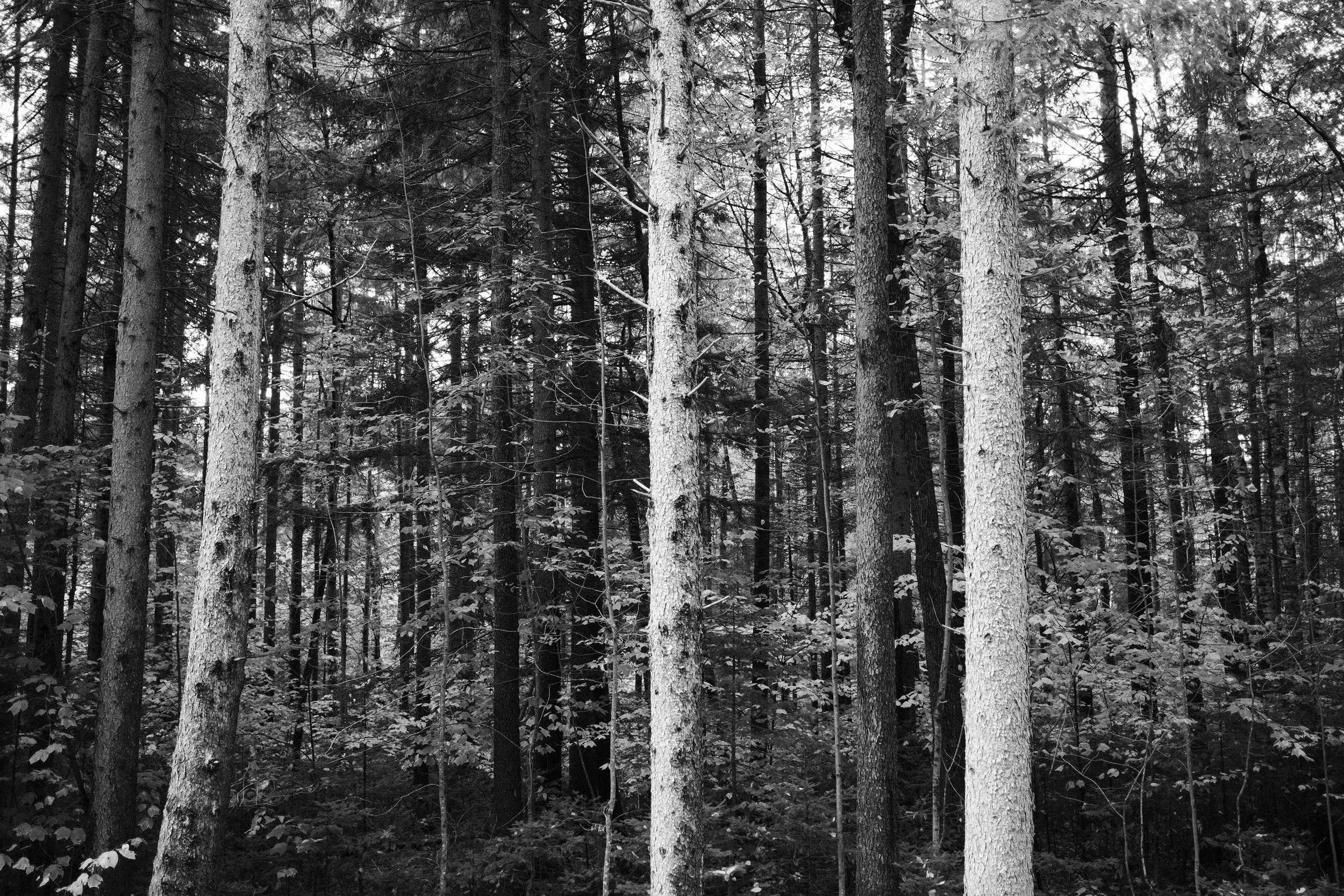 DSCF0124.JPG