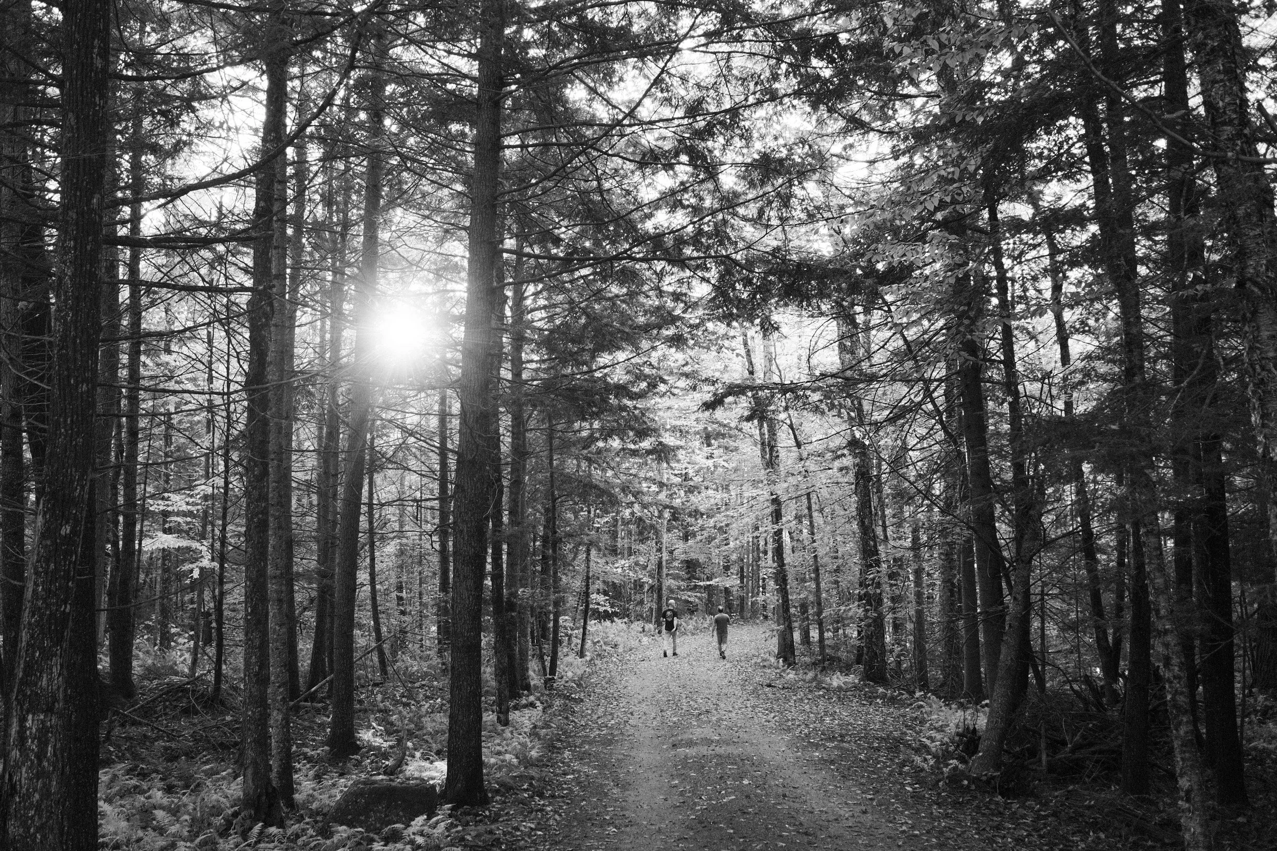 DSCF0206.JPG