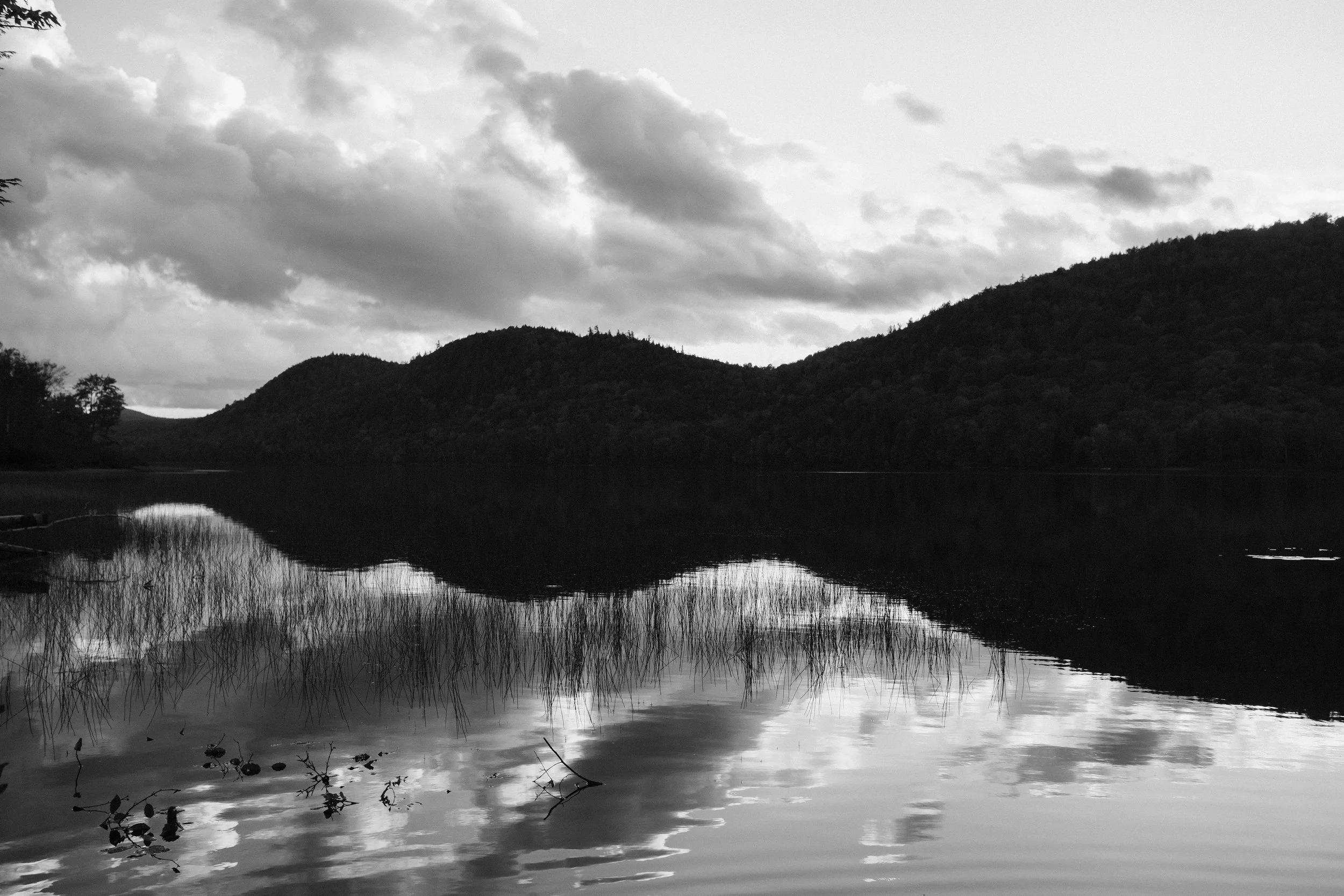 DSCF0306_1.JPG