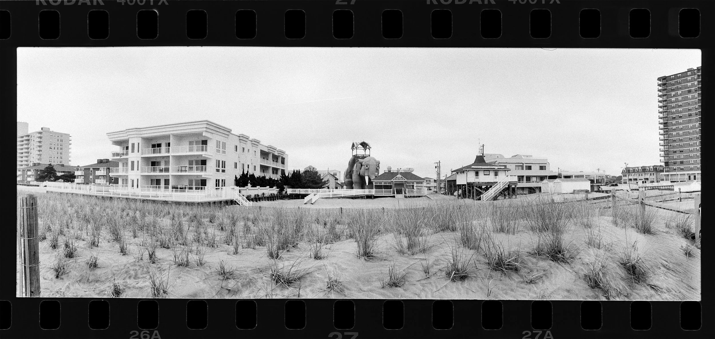 lucy_elephant2 copy.jpg