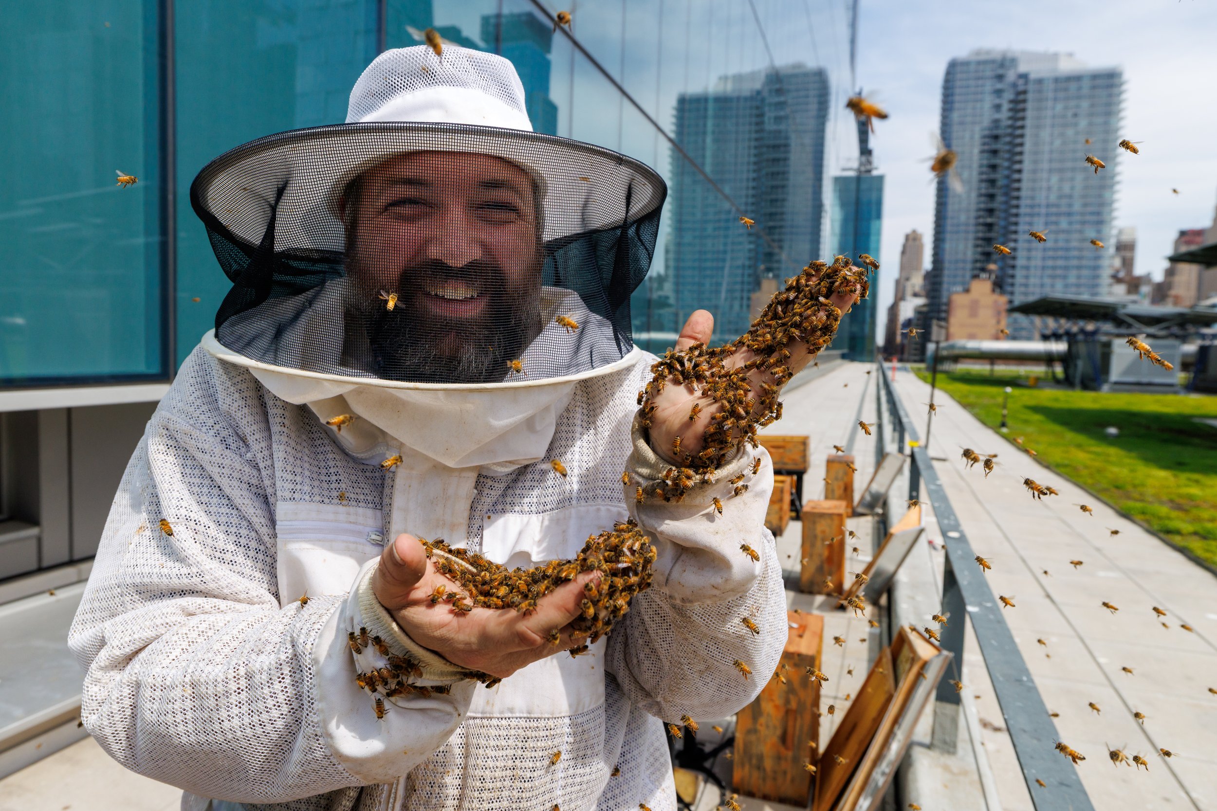 20250422_Javits Bees_0037.JPG