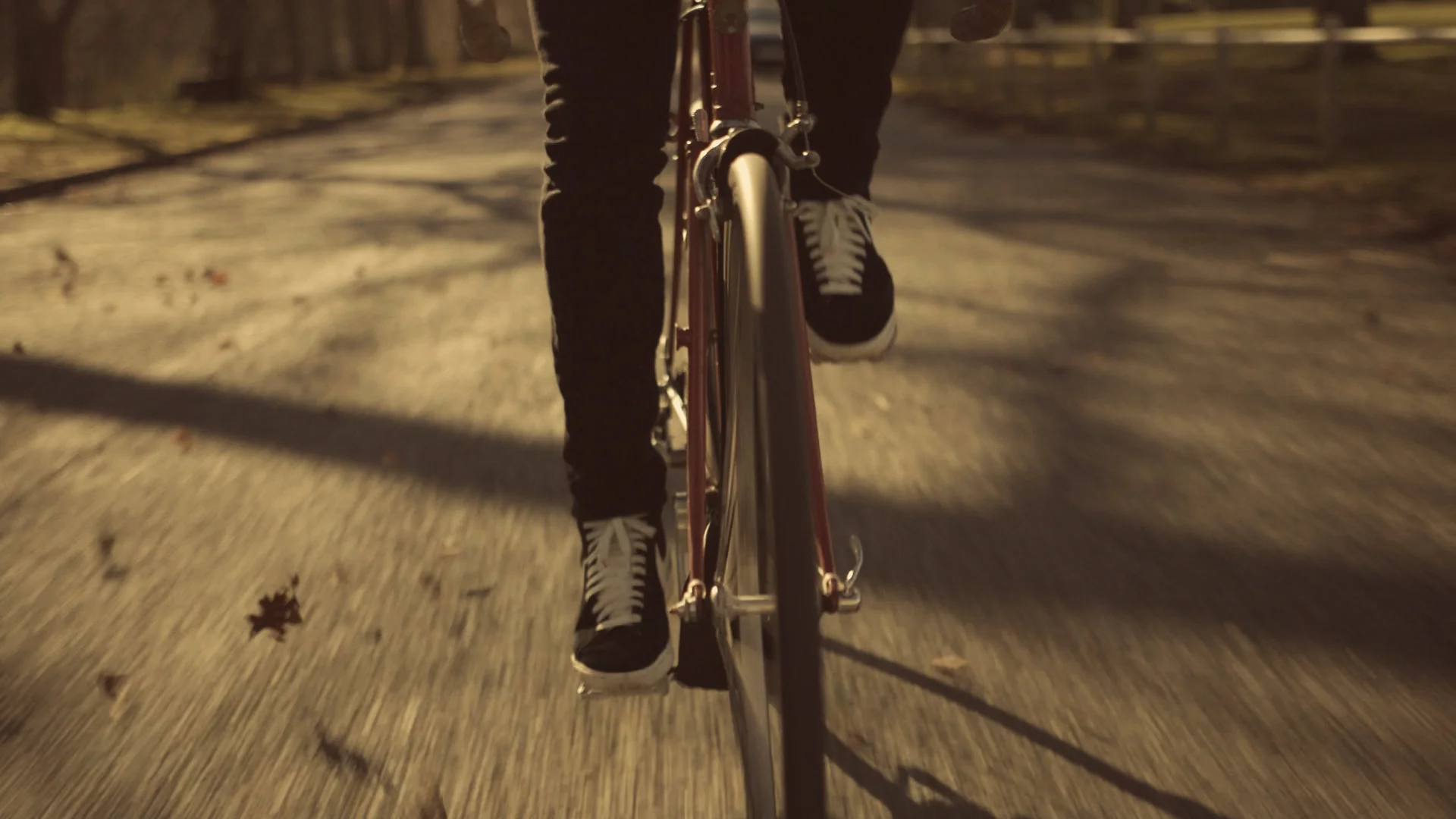 Front Wheel.jpg