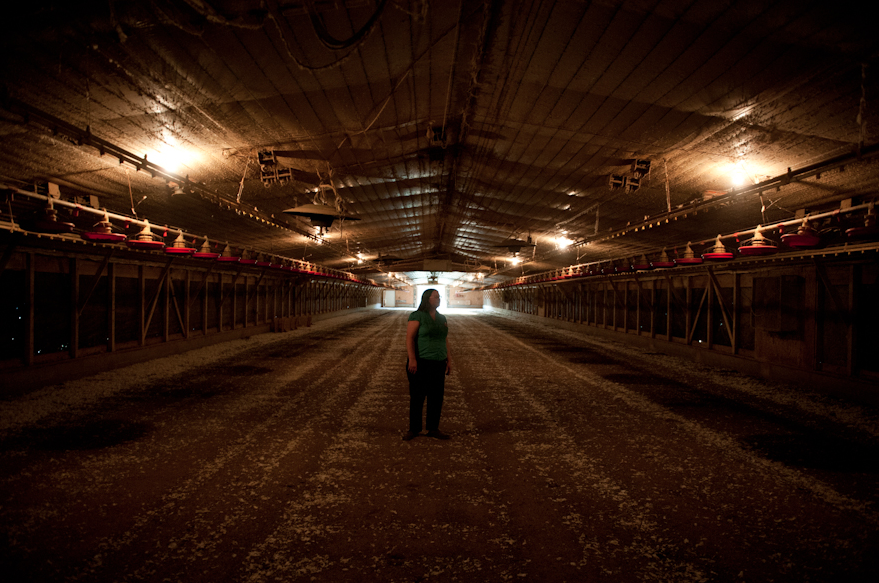 Sonya Holmes checks on her empty chicken barns. She was a chicken farmer for the Townsend Corporation, until they closed down their plant. The chicken industry was a huge contributor to the Chatham County economy, so when the two plants closed, many people were affected. Mrs. Holmes is now running for Congress, in an effort to make agricultural issues such as this known.