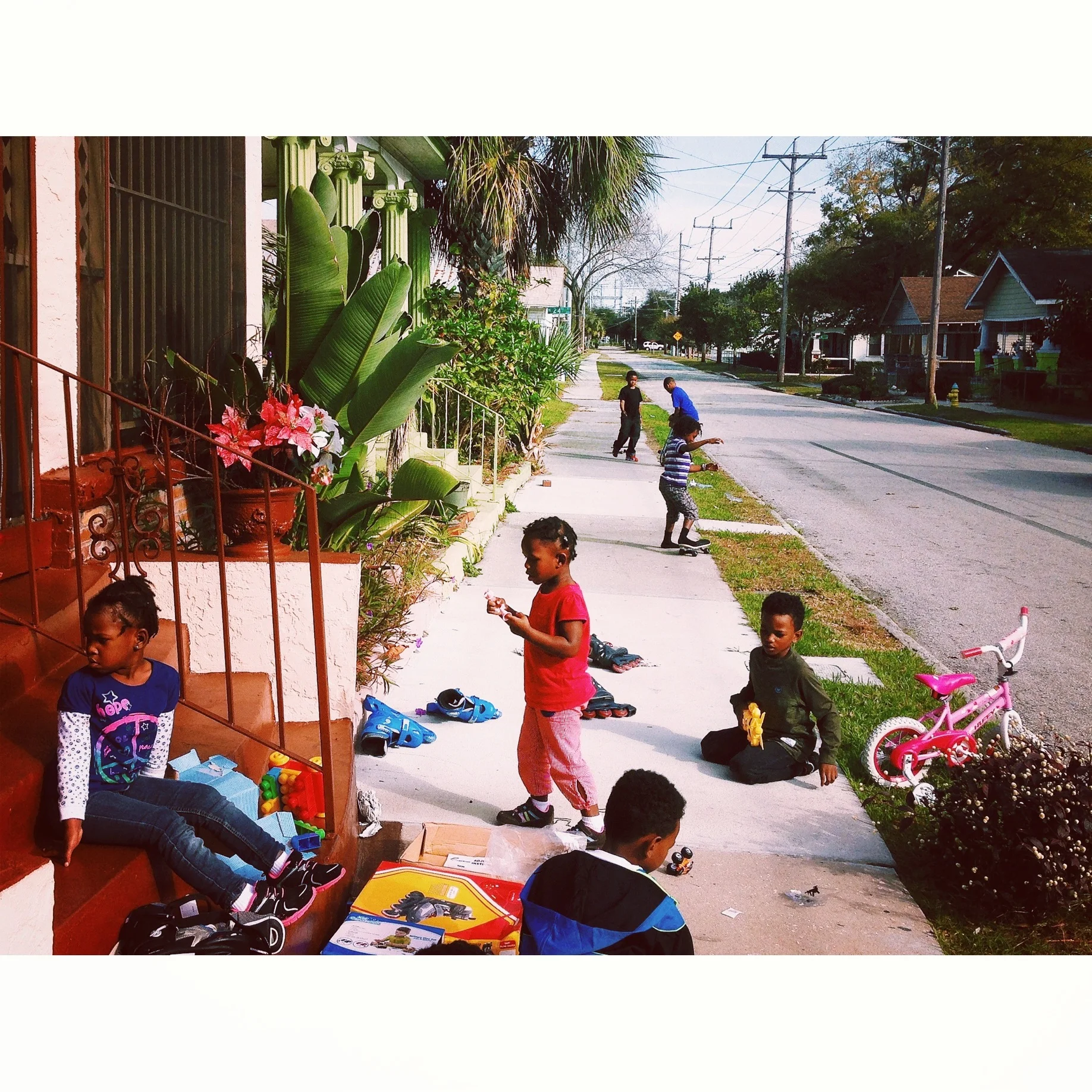  A Christmas miracle.  Tampa, FL. 