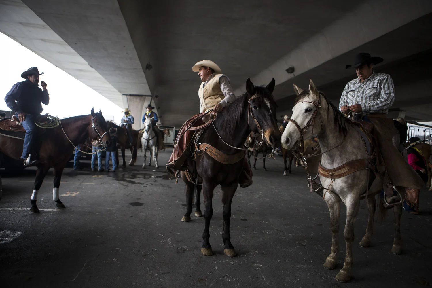 Riders who were contracted to help steer the herd of Longhorns down Houston St. prepare to begin the San Antonio Stock Show's annual Western Heritage Parade in downtown San Antonio, TX on Saturday, February 7, 2015. 