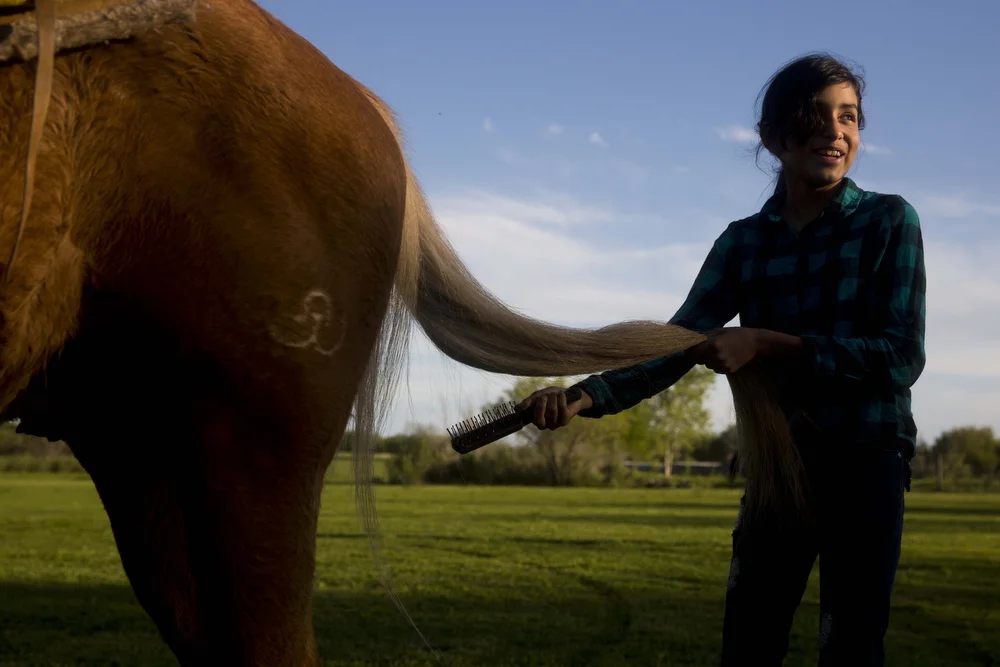 Miriam Alejandra Montecillos brushes through a horse's tail before practice at El Rancho Unico in Atascosa, Texas on March 26, 2015. The girls are responsible for the care of the horses, even if the horses are not their own. The cleanliness and care of the horses is as important as the presentation of the girls' tradition tack and dress. 