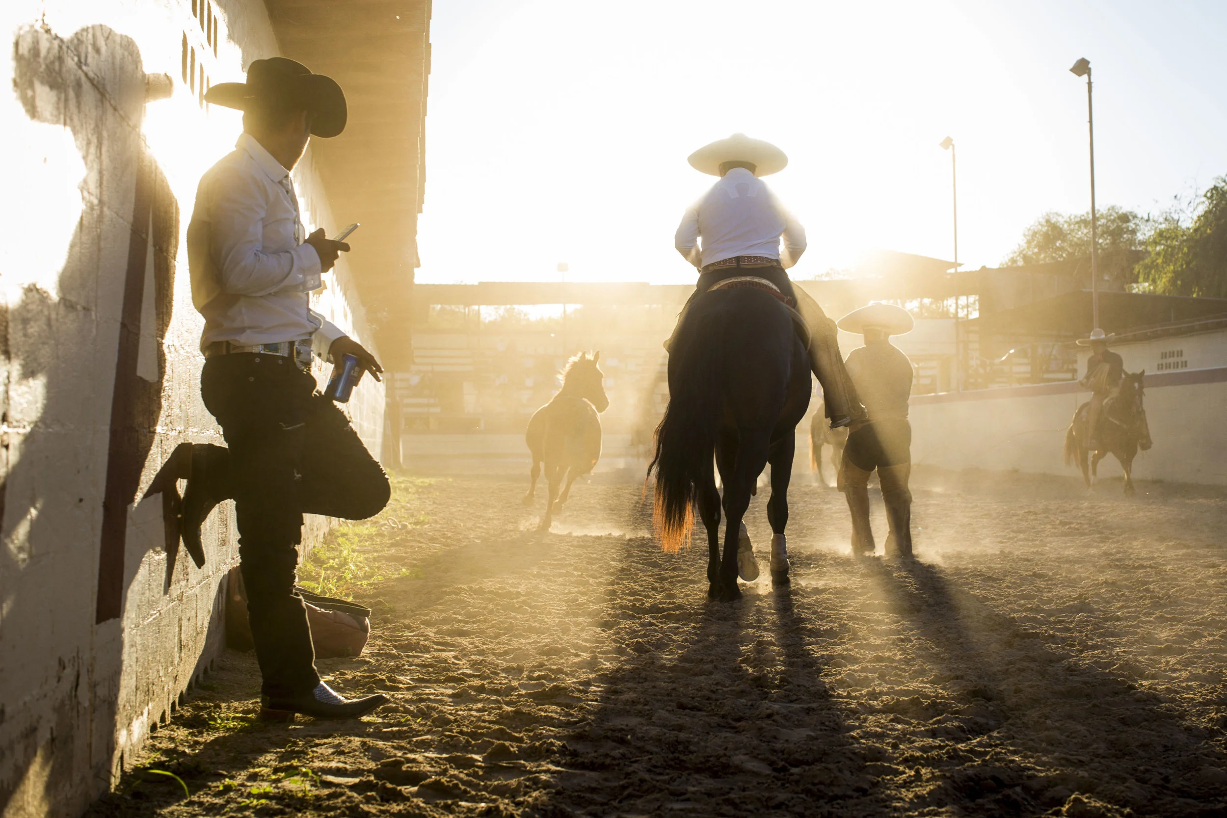  Charros try to lasso a loose horse as a part of the Anniversary of the Mexican Revolution Charreada at the San Antonio Charros Association in San Antonio, Texas, USA on November 20, 2016.   These charreadas are seen as a way for Mexican-Americans to