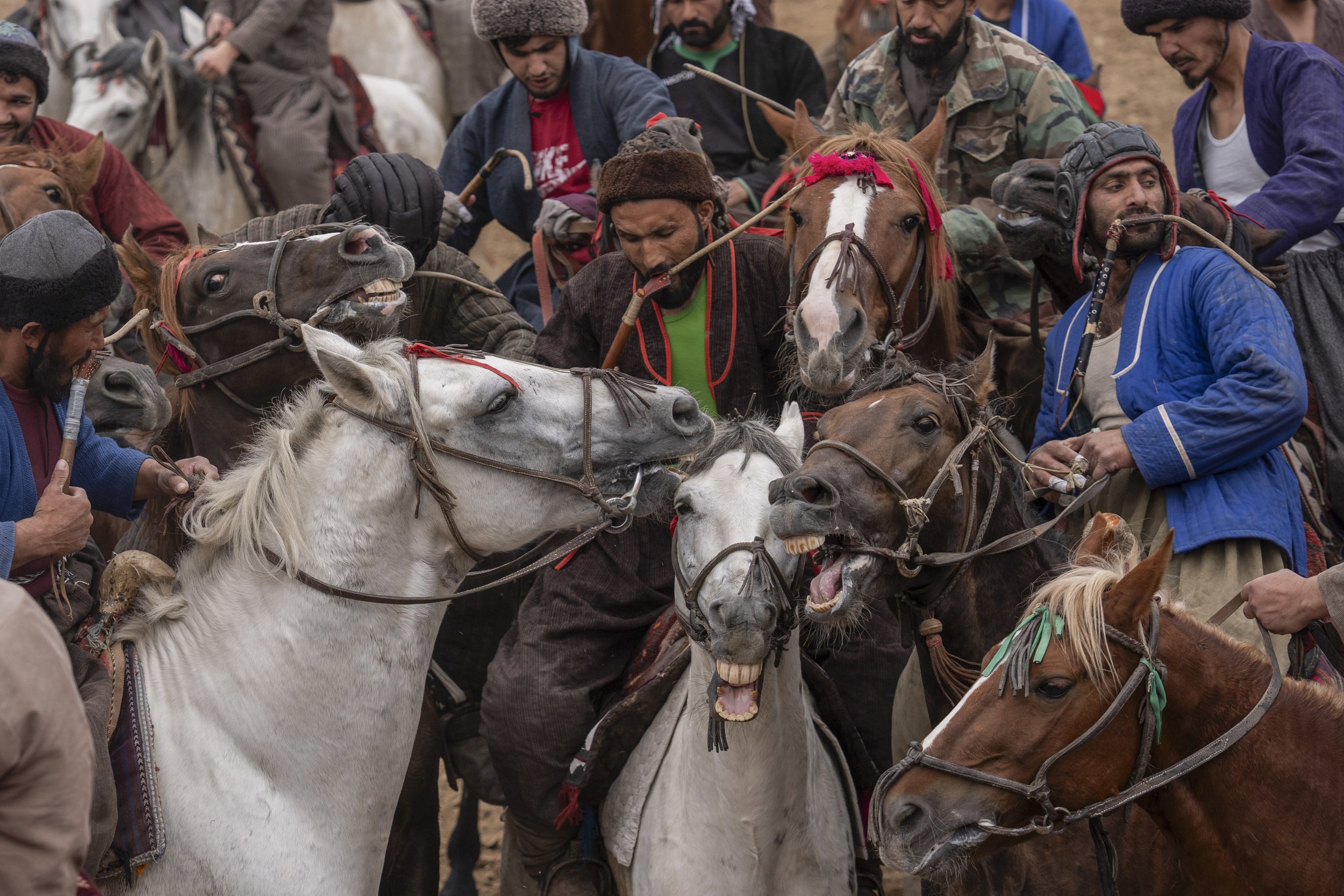 Buzkashi