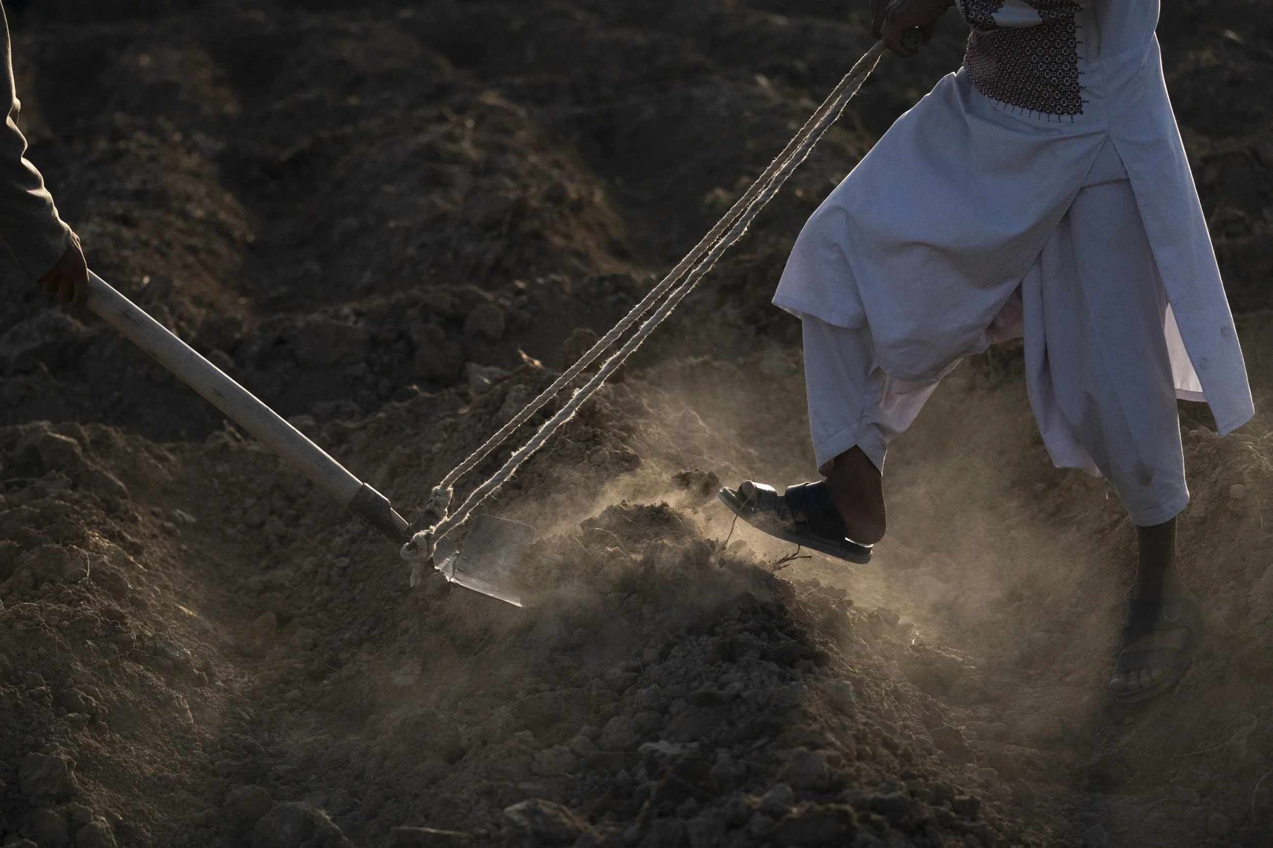 Opium: Climate Change Threatens Taliban's Ban