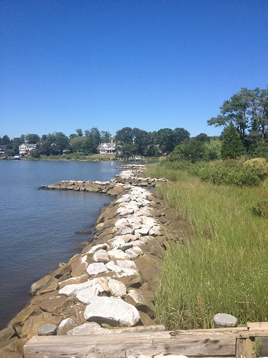 Living Shoreline