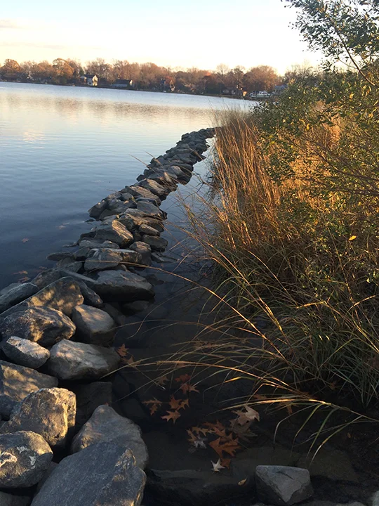 Living Shoreline