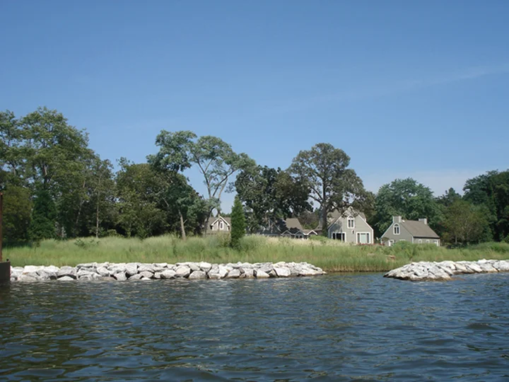 Living Shoreline
