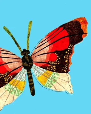 Butterfly on blue