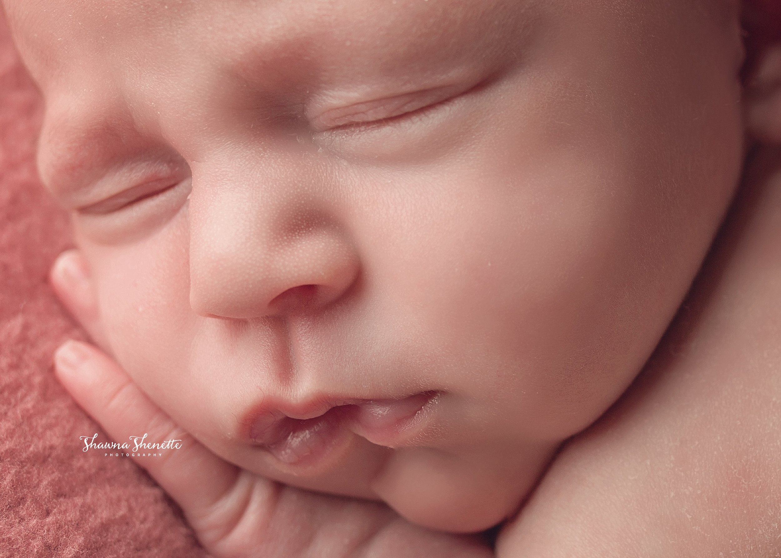 9K8A8519-Edit_Millbury MA NEWBORN Photographer Massachusetts Worcester Baby Photos Newborn Baby Girl Boston.jpg