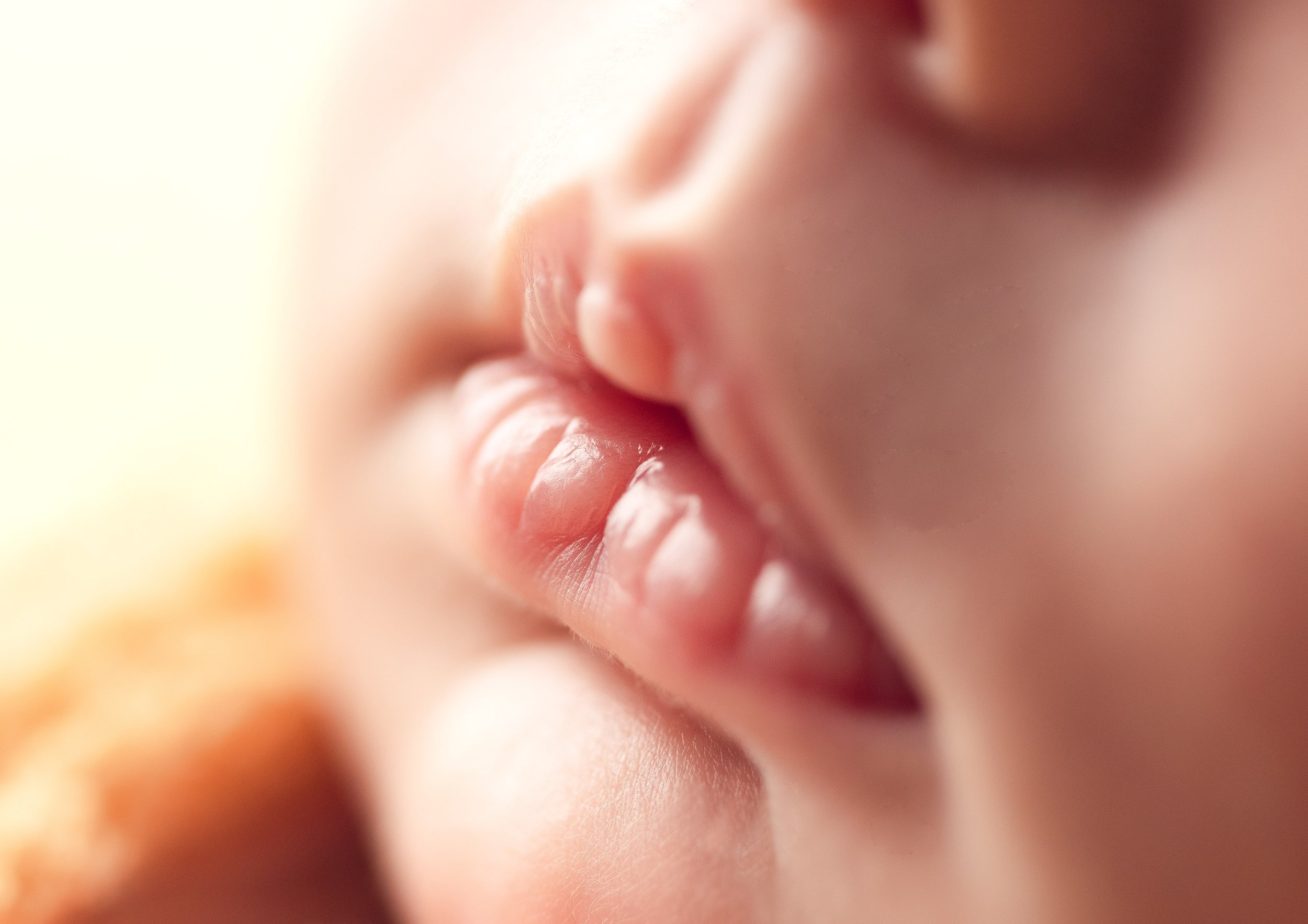 boston newborn photographer baby photos