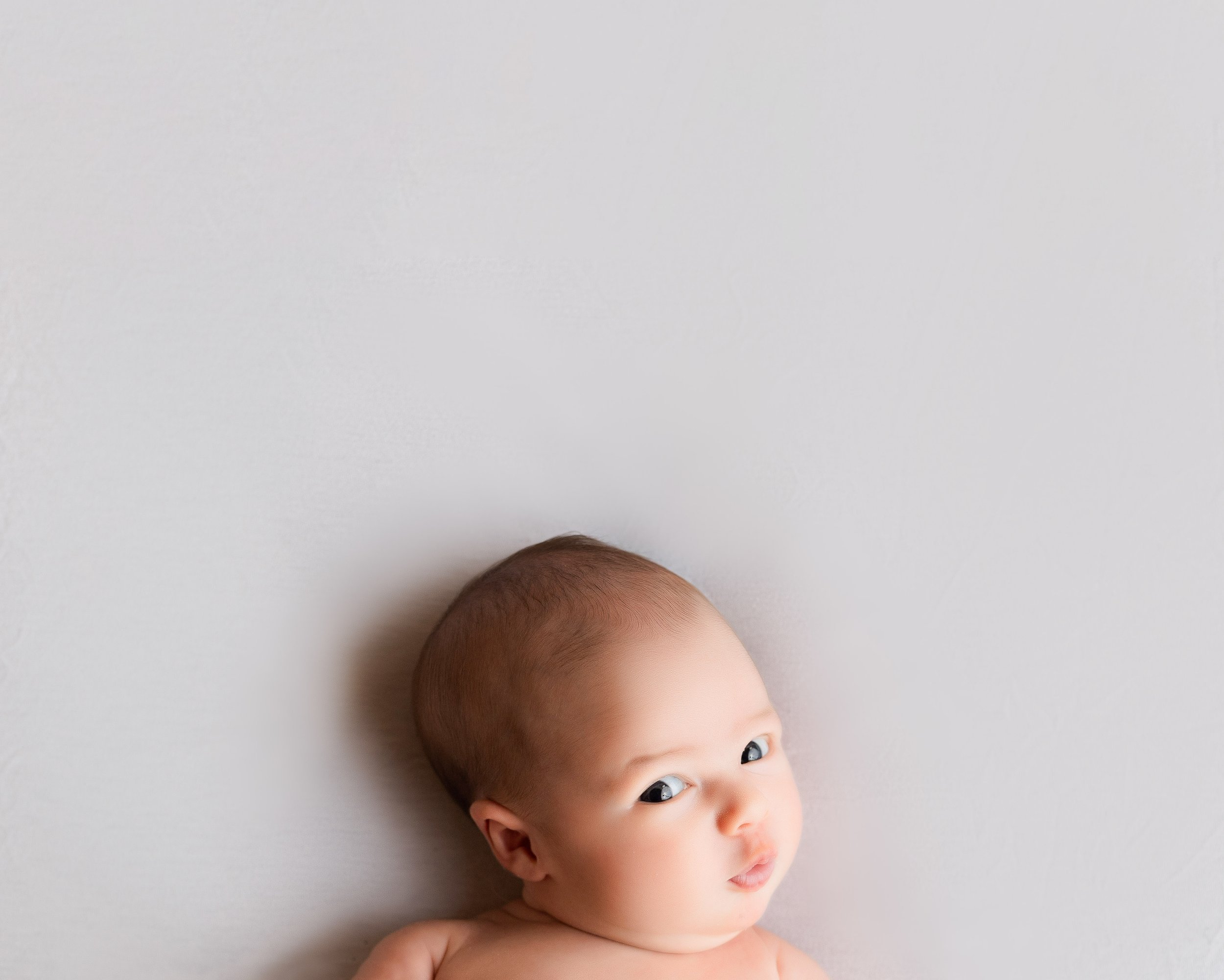 massachusetts baby newborn photographer best in worcester county
