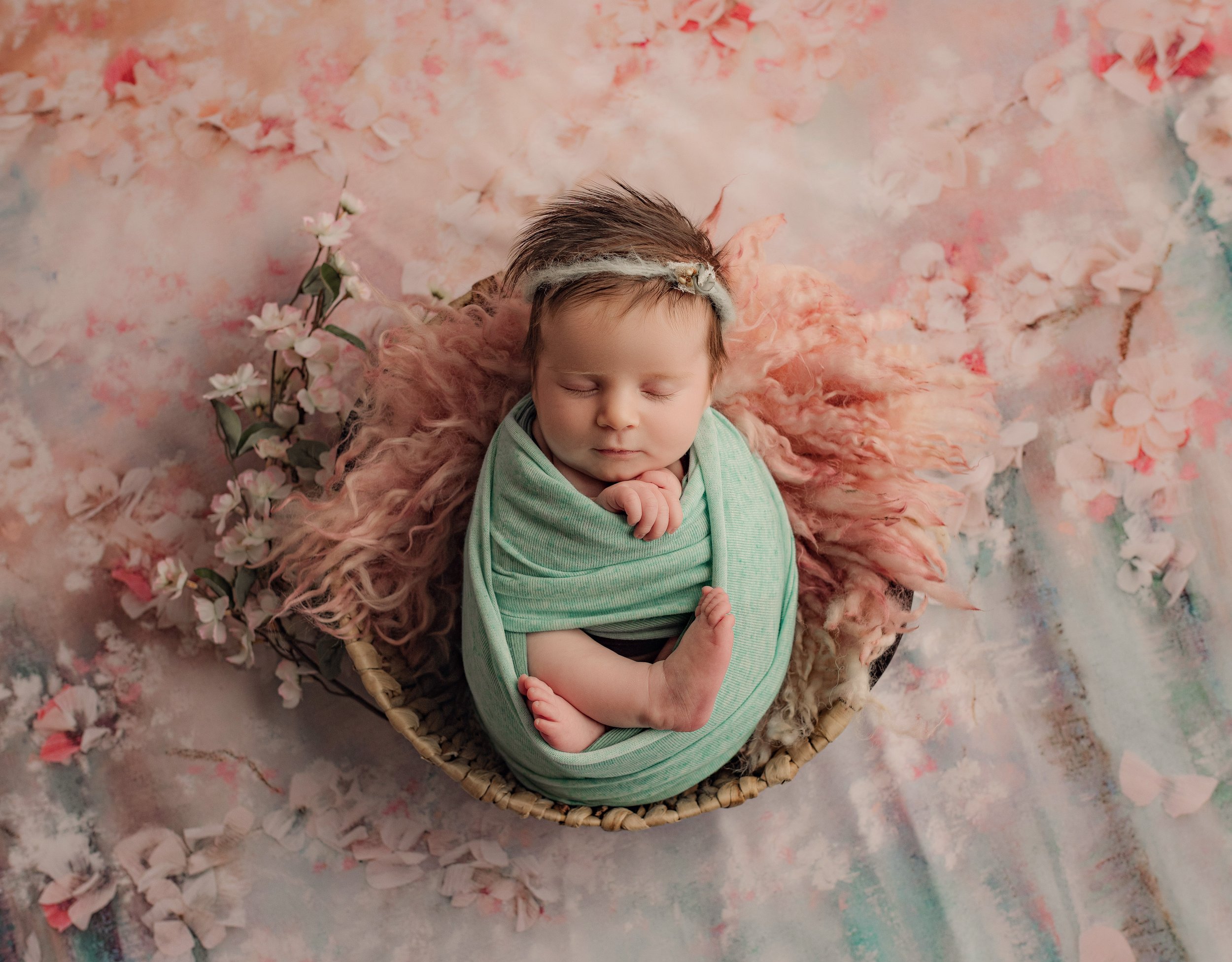 best newborn photographer near worcester boston