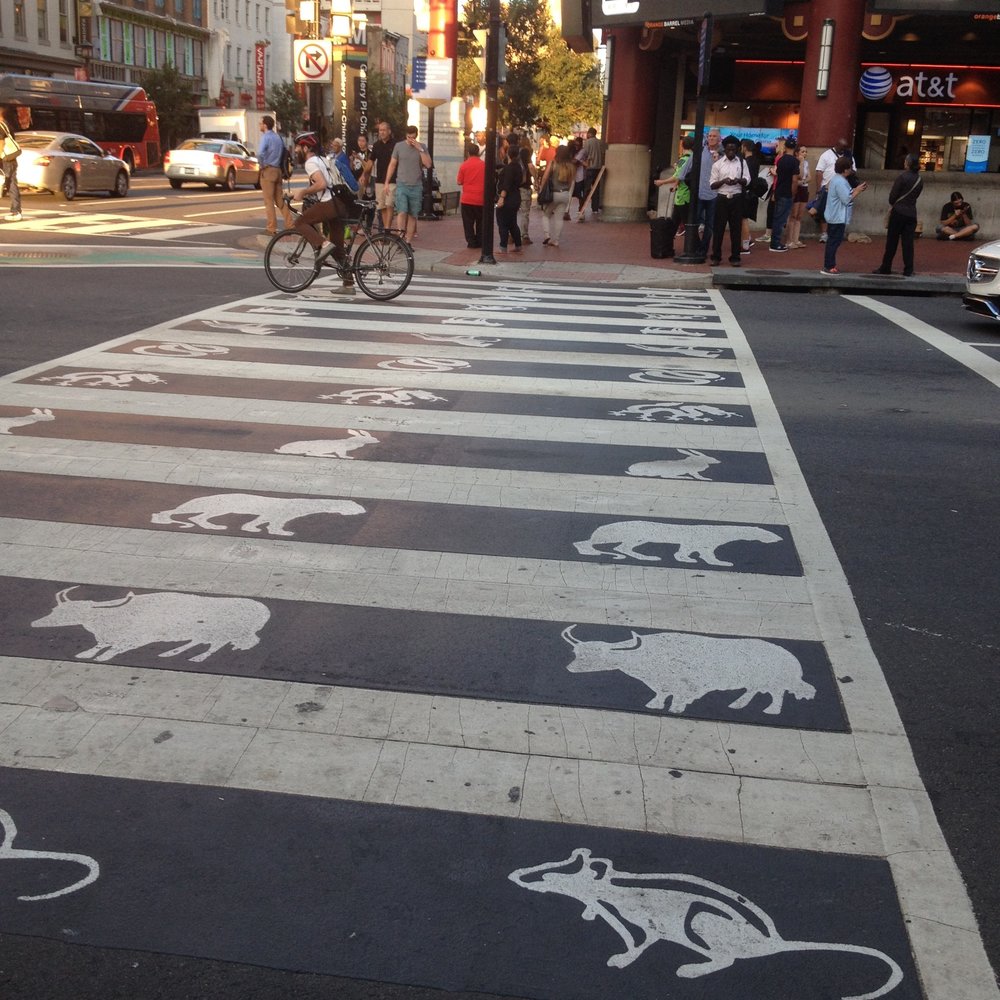 Chinatown Zodiac Crosswalk