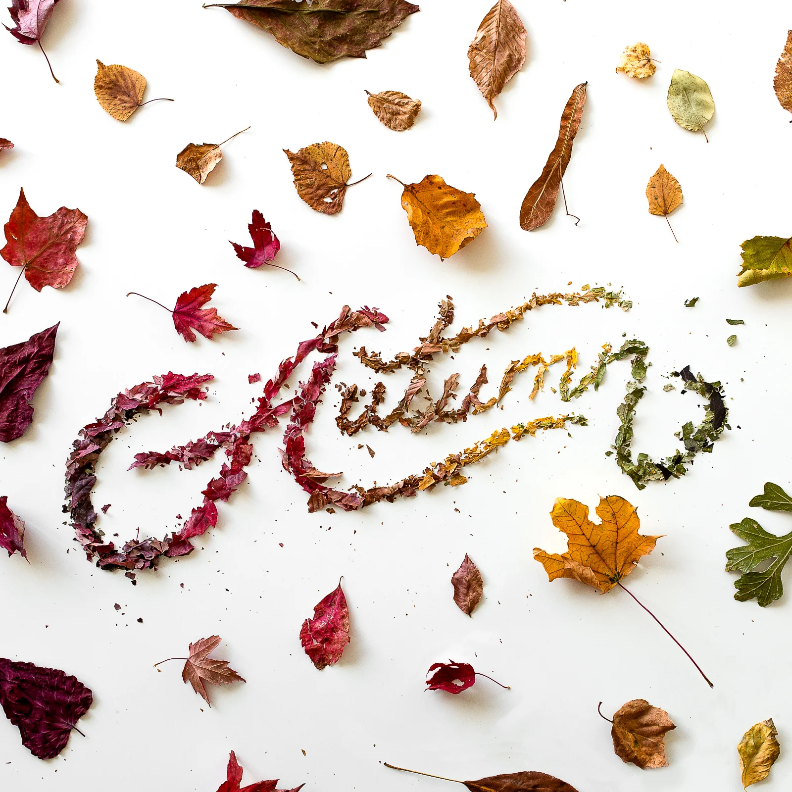Personal-2016-Autumn.jpg