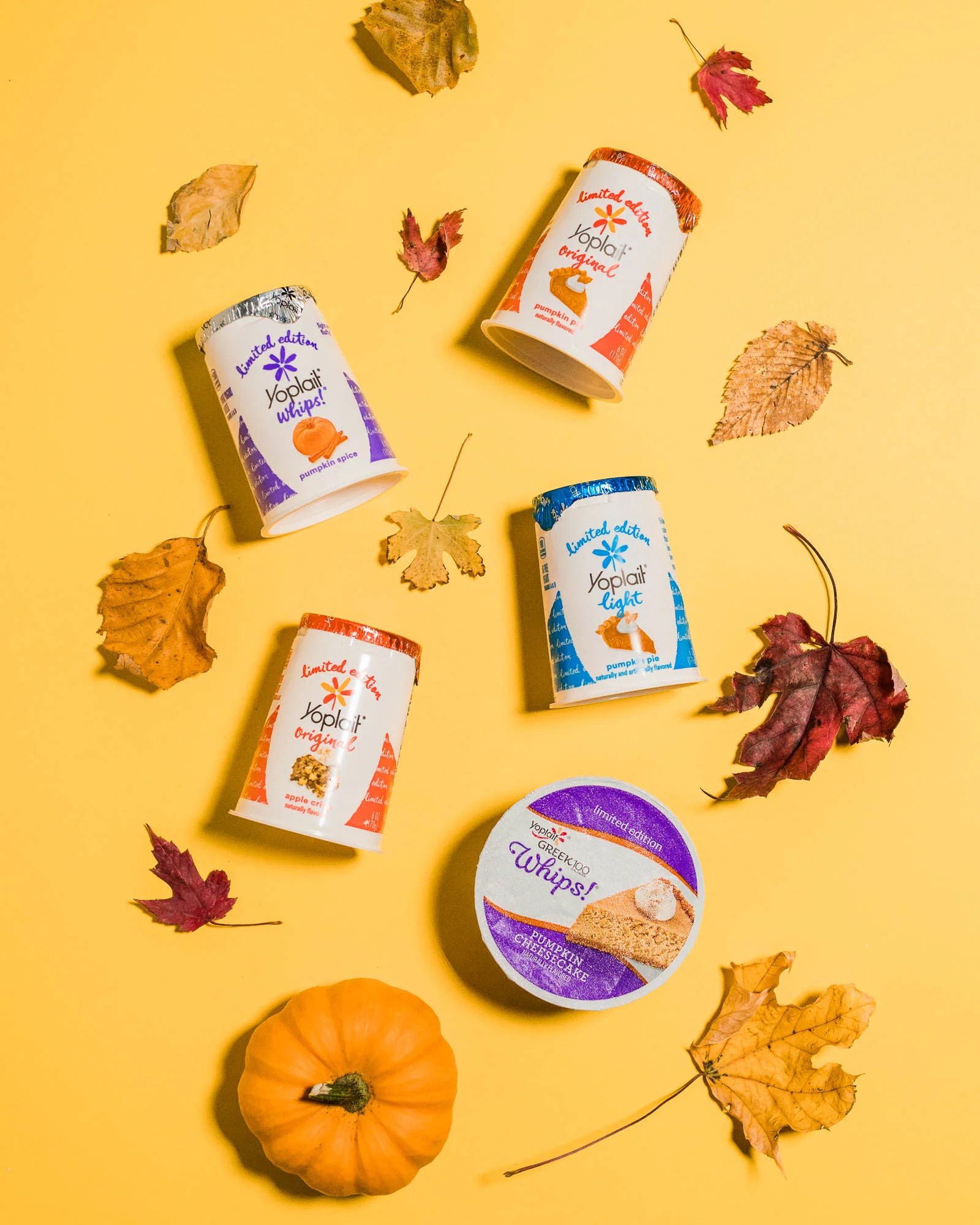 20171005-FallSeasonals-IGP-DSC07383.jpg