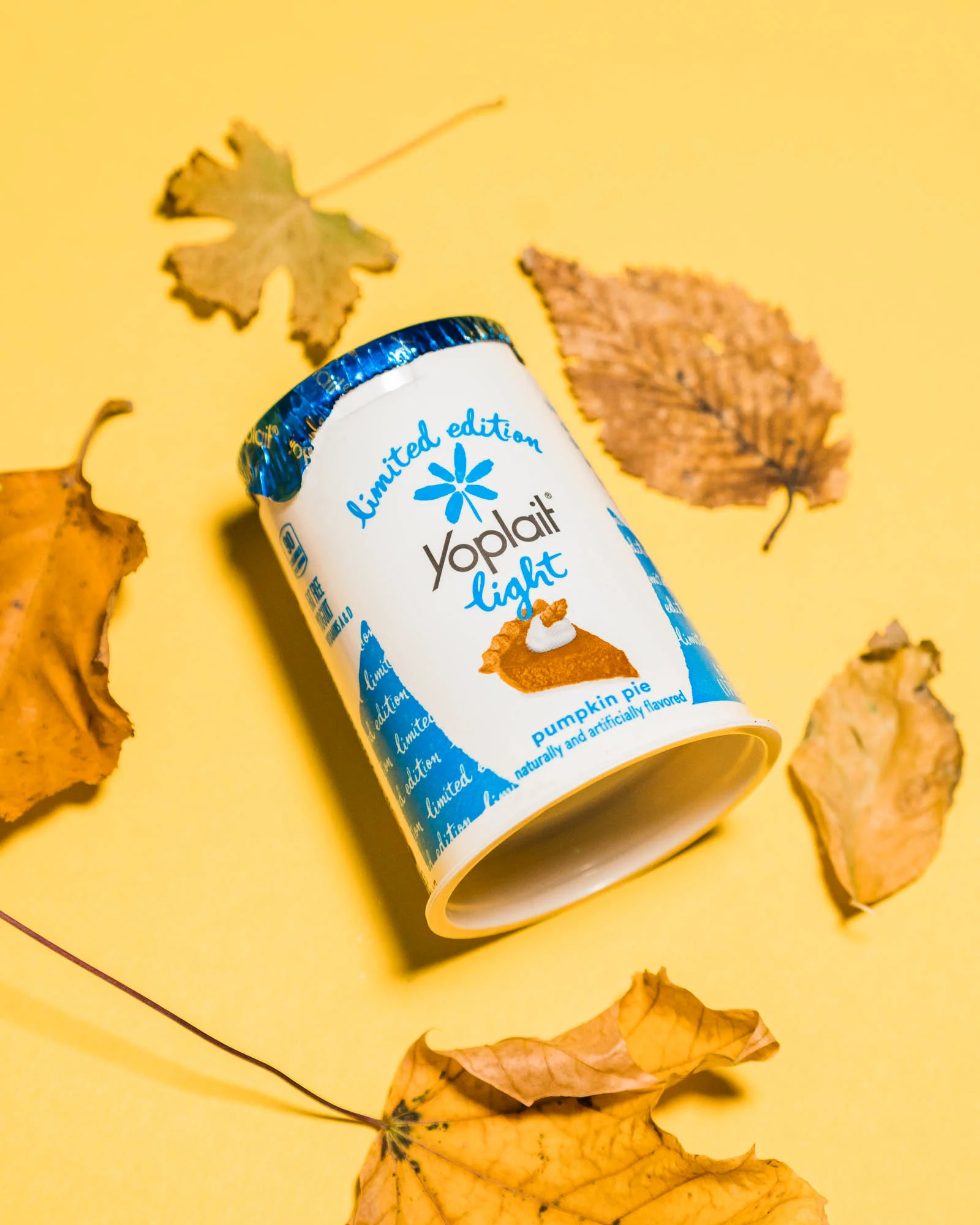 20171005-FallSeasonals-IGP-DSC07440.jpg