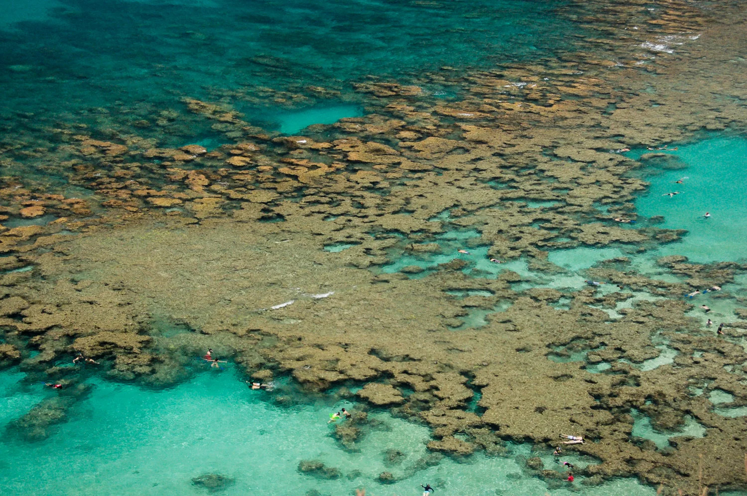 Hanauma Bay, O'ahu, Hawaii